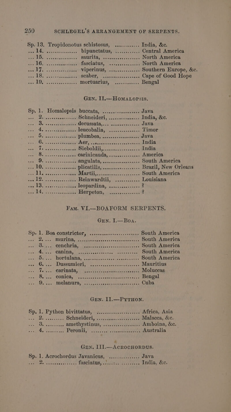es 13. Tropidonotus schistosus, ............ India, &amp;c. PLV RTS eae eye bipunctatus, APR UT PA Central America SES k: ARS Se CE à où à MR AREAS North America LEUR À: Re dE fasciatus, ..... icaccasihe North America SATA Ds rt ae MEPETINNUAS SE TUEUR Southern Europe, &amp;c. 18 re eee D à SA DE RNA TA Cape of Good Hope we LOS) lansveuror denen MOrÉUATIUS, ........... Bengal GEN. II.—HomaLopsis. Sp. 1. Homalopsiasbutcata, 0.2... Java Dilcosates RE Schneideri, ............... India, &amp;c. De sen SUR decussats, ass Java 4, 88% leucobalig, ...c..scascusnu Timor OF ban ec tee ee phim bes sis st Java Bo vie Se MUONS ecco tes MAUR EEE India FRE FORMES &amp; Sieboldii, Reena enone sty. India Bett acess: oes HICORTMICRNAD, ic run America DUR cae = POMIATE, Koningn-parsvenste South America “10. SAR Bees © phoques... Brazil, New Orleans ak Begin ah lenny Et 4 CE PANNE TEE PEU South America HSE RER nei Reinwardtii, ............ Louisiana AS LU es SheoPardina, ee vie Ppa 5 Sb Mee Hetpaton. 5 Janwigcmea soins 2 Fam. VI.—-BOAFORM SERPENTS. GEN. I.— Boa. Sp: L.:Bos constriglor te... rés South America Dites OU SR ARR EEE rs South America DD : 0 tay SAMS Oph Lal Rs ER South America 4... CODING, 280 Peed Me ee eae ee South America Be, ROMA Oo ay piece Re eee South America dus NON Sc) POSE NA aes tiers ee Mauritius OPEN Opps tee ea oe Tie os die Moluccas Soles COM SUL eee ct hehe poxesnettived tae Bengal Ooo, 5) RIORUTAL ck. ey ass knees Thigh Oe Cuba GEN. II.—-PYTHON. SP. 1. Python bivittatua, 1.040427: Africa, Asia ER ree ys. Schneideri hy aka a PC TE Malacca, &amp;c. Be sus vos AMOUMSDUS,. avs, rece ease Amboina, &amp;c. LL SO I he 53 see ss HAUT Australia Gen. III.—ACROCHORDUS. Sp. 1. Acrochordus Javanicus, ............... Java RATE APE er fatcintuey UE see . India, &amp;c.