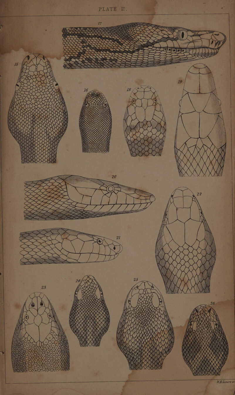 RATE Ir. À #4 PELL | 7 a) poses y |} : Q oh \ AR ST INT \| \ t? RSL HH ( AU) RUM ORT Way DNS hay HA nt LRU | +. É 4 SEC | STE | \ | Ÿ | | € 1 I} ea À Ps PSE SSS WwW —S — SS À x k WY ——-S —S I 4 - JA WANE DR AA HAN () () MN (| vit Ag nur \ A (D () The Wat ii il Wait Whi 4 aad ty A D {i} x; ON AN XUN my PRR Ra Wt DS Wid A NU EN LOU UE A YY kee SAN $20) gi NA \\) XNA HK Wy ATOME we Ya WAM) WHLizars se | “4