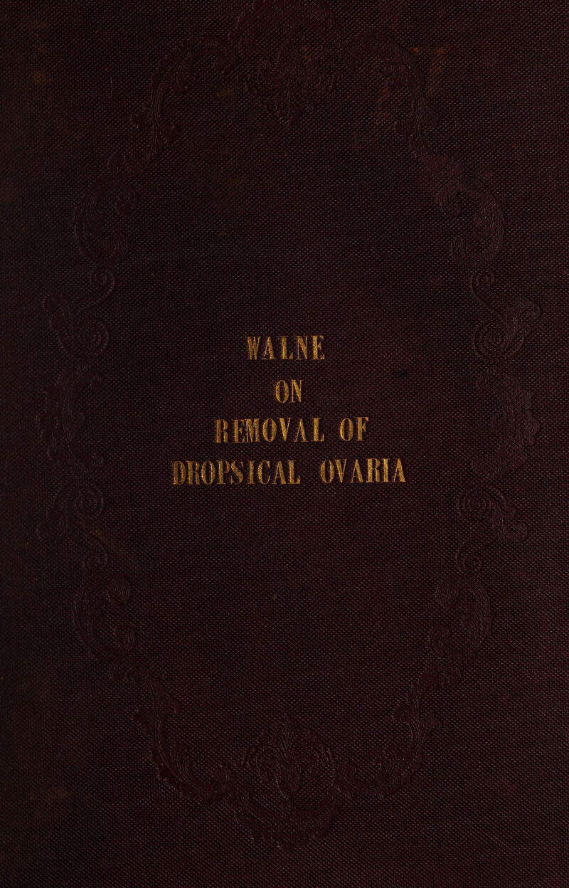ey AAs a Ah beh eh om rare 4 * vox. e pt emer s See aA van at vad we wae Boa ho * ea At Pere are aa ake ne SASS cae) Se ae Por ‘ 5 yey 0F,: FREI Se wed Meee eee eeads ace