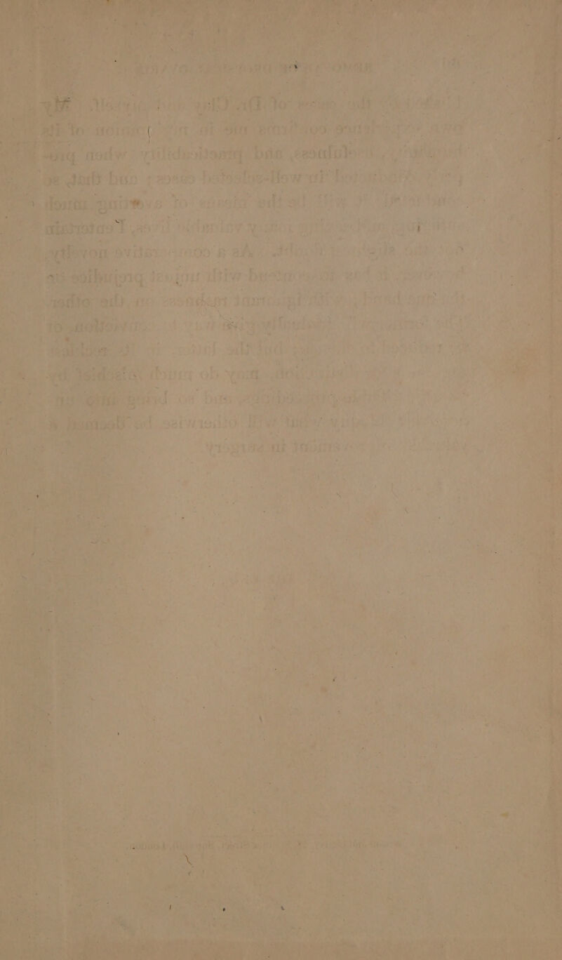 pat a tiie fea, : oT al aor en itr Aes i: sate” eos ati. Sf ae setae. Qi 1G re ih wot 3 ny fi + roe An 1% v til wile fuel my es : 7 Vl eG &amp; an) m bis oh, ie fakes Mit gba, Nike ete gute. ah nine pen ai.