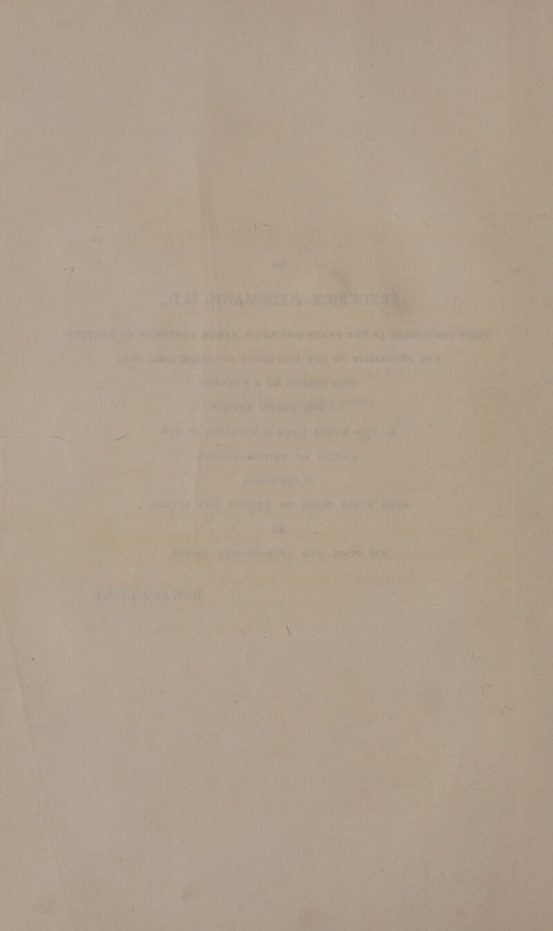 ue Tie t. ‘ ; aH Mi us aac | é : Phe y i y “Haepey tA, 4o oii le severe an &gt; Satya ee init He otha I . Sa “aria we Hie t S ny LP eT Solfo ' Oh Ne ‘tae eases iS AS rm ie i at i. &gt;| a vi \ Ra ia ‘ee aa eA iW a aes: om His ot Py ek ie artis, 18700 a Me e@ i k ' o