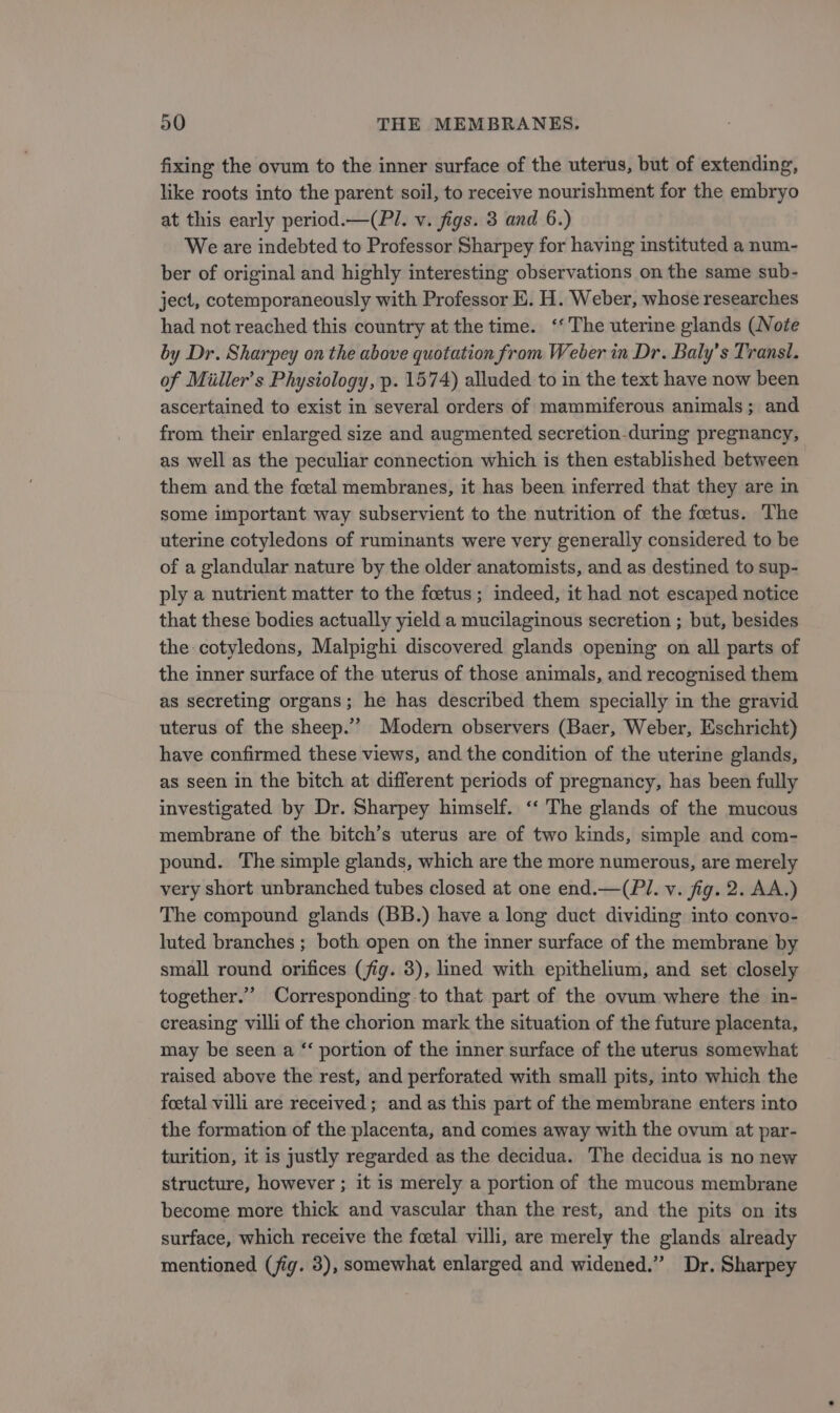 fixing the ovum to the inner surface of the uterus, but of extending, like roots into the parent soil, to receive nourishment for the embryo at this early period.—(Pl. v. figs. 3 and 6.) We are indebted to Professor Sharpey for having instituted a num- ber of original and highly interesting observations on the same sub- ject, cotemporaneously with Professor E. H. Weber, whose researches had not reached this country at the time. ‘‘The uterine glands (Note by Dr. Sharpey on the above quotation from Weber in Dr. Baly’s Transl. of Miiller’s Physiology, p. 1574) alluded to in the text have now been ascertained to exist in several orders of mammiferous animals; and from their enlarged size and augmented secretion-during pregnancy, as well as the peculiar connection which is then established between them and the foetal membranes, it has been inferred that they are in some important way subservient to the nutrition of the foetus. The uterine cotyledons of ruminants were very generally considered to be of a glandular nature by the older anatomists, and as destined to sup- ply a nutrient matter to the foetus; indeed, it had not escaped notice that these bodies actually yield a mucilaginous secretion ; but, besides the cotyledons, Malpighi discovered glands opening on all parts of the inner surface of the uterus of those animals, and recognised them as secreting organs; he has described them specially in the gravid uterus of the sheep.”” Modern observers (Baer, Weber, Eschricht) have confirmed these views, and the condition of the uterine glands, as seen in the bitch at different periods of pregnancy, has been fully investigated by Dr. Sharpey himself. ‘‘ The glands of the mucous membrane of the bitch’s uterus are of two kinds, simple and com- pound. The simple glands, which are the more numerous, are merely very short unbranched tubes closed at one end.—(PI. v. fig. 2. AA.) The compound glands (BB.) have a long duct dividing into convo- luted branches ; both open on the inner surface of the membrane by small round orifices (fig. 3), lined with epithelium, and set closely together.” Corresponding to that part of the ovum where the in- creasing villi of the chorion mark the situation of the future placenta, may be seen a “ portion of the inner surface of the uterus somewhat raised above the rest, and perforated with small pits, into which the foetal villi are received ; and as this part of the membrane enters into the formation of the placenta, and comes away with the ovum at par- turition, it is justly regarded as the decidua. The decidua is no new structure, however ; it is merely a portion of the mucous membrane become more thick and vascular than the rest, and the pits on its surface, which receive the foetal villi, are merely the glands already mentioned (fig. 3), somewhat enlarged and widened.” Dr. Sharpey