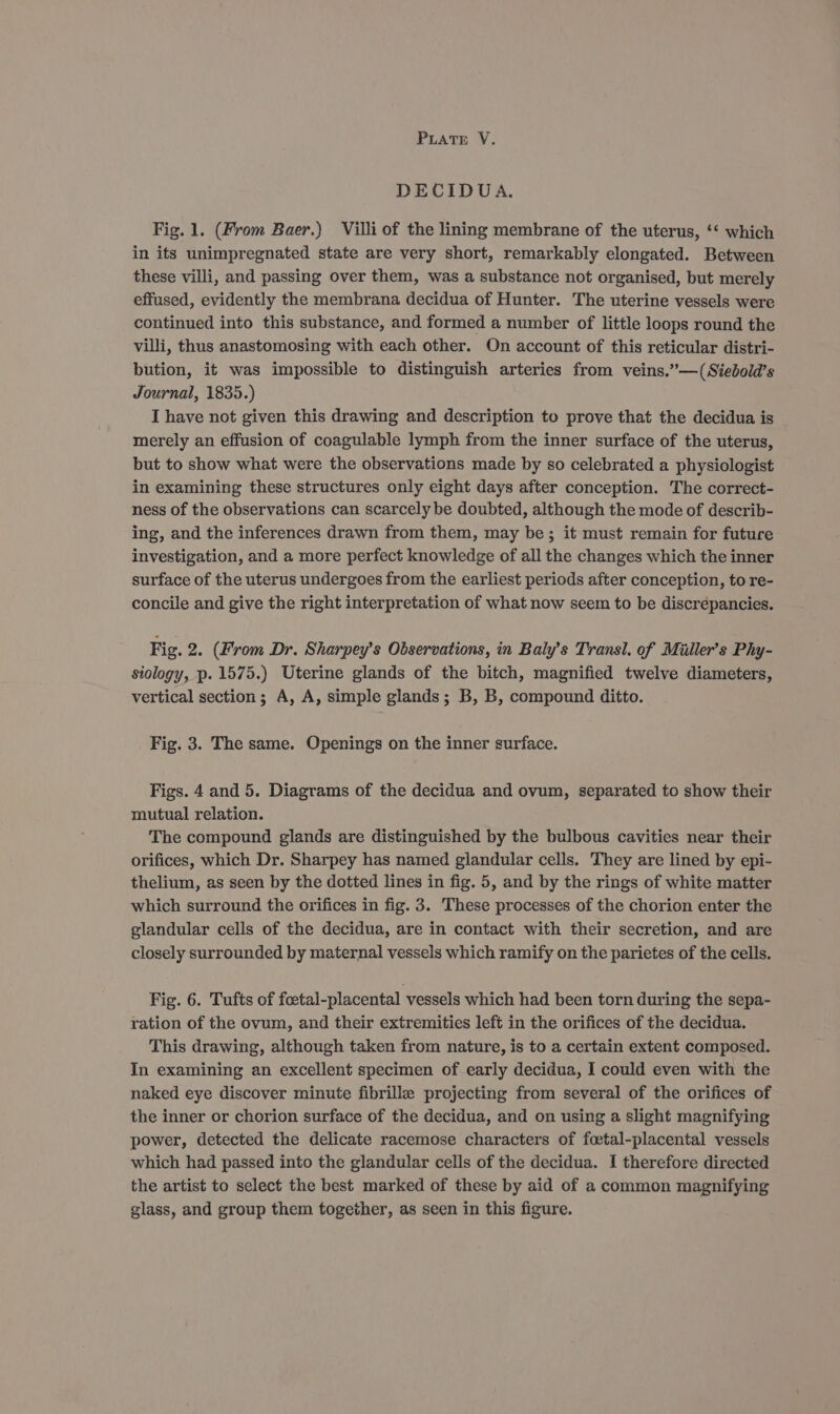 DECIDUA., Fig. 1. (From Baer.) Villi of the lining membrane of the uterus, ‘* which in its unimpregnated state are very short, remarkably elongated. Between these villi, and passing over them, was a substance not organised, but merely effused, evidently the membrana decidua of Hunter. The uterine vessels were continued into this substance, and formed a number of little loops round the villi, thus anastomosing with each other. On account of this reticular distri- bution, it was impossible to distinguish arteries from veins.”—(Sieboid’s Journal, 1835.) I have not given this drawing and description to prove that the decidua is merely an effusion of coagulable lymph from the inner surface of the uterus, but to show what were the observations made by so celebrated a physiologist in examining these structures only eight days after conception. The correct- ness of the observations can scarcely be doubted, although the mode of describ- ing, and the inferences drawn from them, may be; it must remain for future investigation, and a more perfect knowledge of all the changes which the inner surface of the uterus undergoes from the earliest periods after conception, to re- concile and give the right interpretation of what now seem to be discrepancies. Fig. 2. (From Dr. Sharpey’s Observations, in Baly’s Transl. of Miiller’s Phy- siology, p. 1575.) Uterine glands of the bitch, magnified twelve diameters, vertical section; A, A, simple glands; B, B, compound ditto. Fig. 3. The same. Openings on the inner surface. Figs. 4 and 5. Diagrams of the decidua and ovum, separated to show their mutual relation. The compound glands are distinguished by the bulbous cavities near their orifices, which Dr. Sharpey has named glandular cells. They are lined by epi- thelium, as seen by the dotted lines in fig. 5, and by the rings of white matter which surround the orifices in fig. 3. These processes of the chorion enter the glandular cells of the decidua, are in contact with their secretion, and are closely surrounded by maternal vessels which ramify on the parietes of the cells. Fig. 6. Tufts of foctal-placental vessels which had been torn during the sepa- ration of the ovum, and their extremities left in the orifices of the decidua. This drawing, although taken from nature, is to a certain extent composed. In examining an excellent specimen of early decidua, I could even with the naked eye discover minute fibrille projecting from several of the orifices of the inner or chorion surface of the decidua, and on using a slight magnifying power, detected the delicate racemose characters of foetal-placental vessels which had passed into the glandular cells of the decidua. I therefore directed the artist to select the best marked of these by aid of a common magnifying glass, and group them together, as seen in this figure.