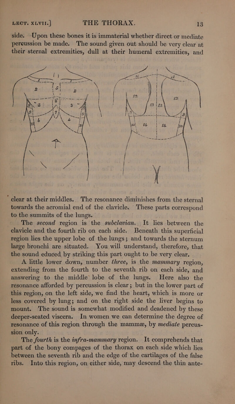 side. -Upon these bones it is immaterial whether direct or mediate percussion be made. The sound given out should be very clear at their sternal extremities, dull at their humeral extremities, and ’ clear at their middles. The resonance diminishes from the sternal towards the acromial end of the clavicle. These parts correspond to the summits of the lungs. The second region is. the subclavian.. It lies between the clavicle and the fourth rib on each side. Beneath this superficial region lies the upper lobe of the lungs; and towards the sternum large bronchi are situated. You will understand, therefore, that the sound educed by striking this part ought to be very clear. A little lower down, number ¢hree, is the mammary region, extending from the fourth to the seventh rib on each side, and answering to the middle lobe of the lungs. Here also the resonance afforded by percussion is clear; but in the lower part of this region, on the left side, we find the heart, which is more or less covered by lung; and on the right side the liver begins to mount. ‘The sound is somewhat modified and deadened by these deeper-seated viscera. In women we can determine the degree of resonance of this region through the mamme, by mediate percus- sion only. The fourth is the infra-mammary region. It comprehends that part of the bony compages of the thorax on each side which lies between the seventh rib and the edge of the cartilages of the false ribs. Into this region, on either side, may descend the thin ante-