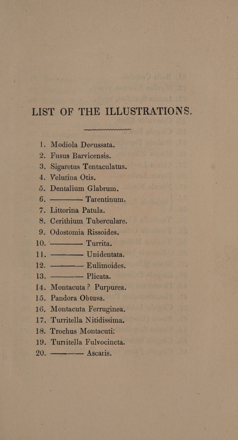 LIST OF THE ILLUSTRATIONS. 1. Modiola Decussata. 2. Fusus Barvicensis. 3. Sigaretus Tentaculatus. 4, Velutina Otis. 5. Dentalium Glabrum. 6 Tarentinum. 7. Littorina Patula. 8. Cerithium Tuberculare. 9. Odostomia Rissoides. 10. ————— _ Turrita. 11. ————— Unidentata. 1. — Eulimoides. ¥3: — Plicata. I4. Montacuta? Purpurea. 15. Pandora Obtusa. 16. Montacuta Ferruginea. 17. Turritella Nitidissima. 18. Trochus Montacuti: 19. Turritella Fulvocincta. —— Ascaris.