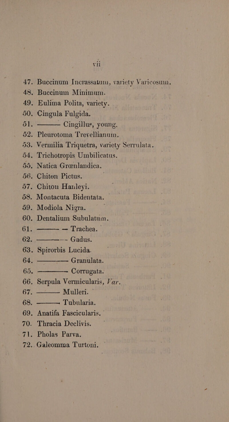 vi Cingillus, young. — Trachea. — — Gadus. —— Granulata. Corrugata. Mulleri. ~ Tubularia. Thracia Declivis.