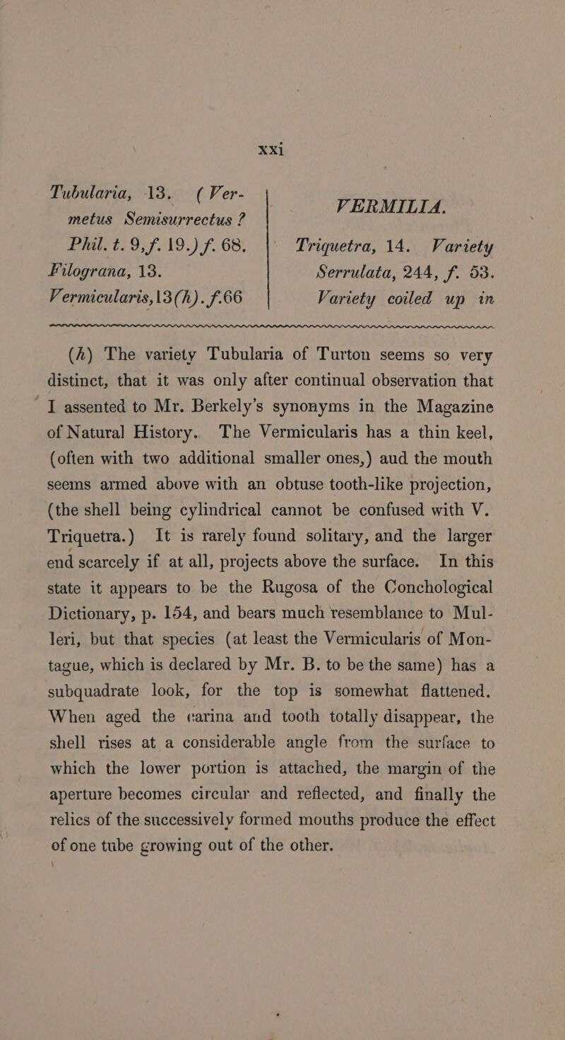 Tubularia, 13. ( Ver- metus Semisurrectus ? dete a, F619.) f, 68! Triquetra, 14. Variety Filograna, 13. Serrulata, 244, f. 53. Vermicularis,13(h). f.66 Variety coiled up in VERMILIA. (A) The variety Tubularia of Turton seems so very distinct, that it was only after continual observation that I assented to Mr. Berkely’s synonyms in the Magazine of Natural History. The Vermicularis has a thin keel, (often with two additional smaller ones,) aud the mouth seems armed above with an obtuse tooth-like projection, (the shell being cylindrical cannot be confused with V. Triquetra.) It is rarely found solitary, and the larger end scarcely if at all, projects above the surface. In this state it appears to be the Rugosa of the Conchological Dictionary, p. 154, and bears much resemblance to Mul- leri, but that species (at least the Vermicularis of Mon- tague, which is declared by Mr. B. to be the same) has a subquadrate look, for the top is somewhat flattened. When aged the carina and tooth totally disappear, the shell rises at a considerable angle from the surface to which the lower portion is attached, the margin of the aperture becomes circular and reflected, and finally the relics of the successively formed mouths produce the effect of one tube growing out of the other.