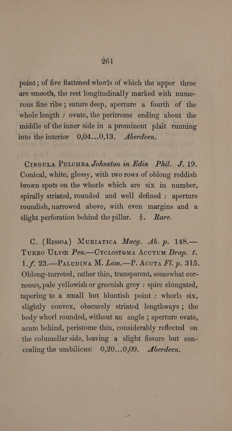 961 point ; of five flattened whorls of which the upper three are smooth, the rest longitudinally marked with nume- rous fine ribs ; suture deep, aperture a fourth of the whole length : ovate, the peritreme ending about the middle of the inner side in a prominent plait running into the interior 0,04...0,13. Aberdeen. CincuLa PurtcuRra Johnston in Edin Phil. J. 19. Conical, white, glossy, with two rows of oblong reddish brown spots on the whorls which are six in number, spirally striated, rounded and well defined : aperture roundish, narrowed above, with even margins and a slight perforation behind the pillar. 3. Rare. C. (Rissoa) Muriatica Macg. Ab. p. 148.— Turso Utva Pen.—Cyrcitostoma Acutum Drap. ft. 1. f. 23.—Patupina M. Lam.—P. Acura FI. p. 315. Oblong-turreted, rather thin, transparent, somewhat cor- neous, pale yellowish or greenish grey : spire elongated, tapering to a small but bluntish point : whorls six, slightly convex, obscurely striated lengthways ; the body whorl rounded, without an angle ; aperture ovate, acute behind, peristome thin, considerably reflected on the columellar side, leaving a slight fissure but con- cealing the umbilicus: 0,20...0,09. Aberdeen.