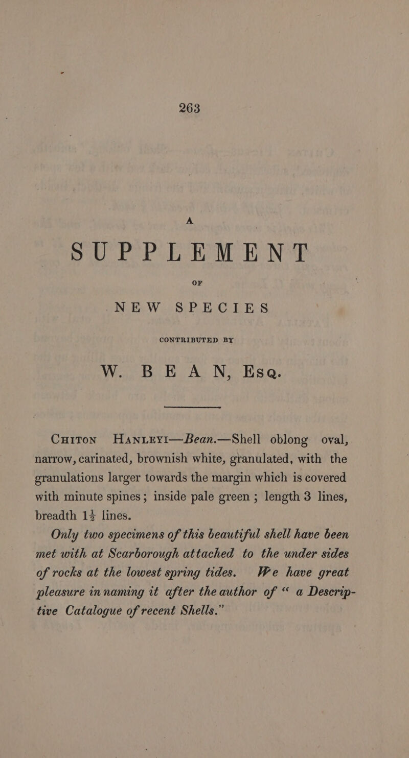 A SUPPLEMENT OF NEW SPECIES CONTRIBUTED BY W. BEAN, Esa. Cuiton Haniey1—Bean.—Shell oblong oval, narrow, carinated, brownish white, granulated, with the granulations larger towards the margin which is covered with minute spines; inside pale green ; length 3 lines, breadth 14 lines. Only two specimens of this beautiful shell have been met with at Scarborough attached to the under sides of rocks at the lowest spring tides. We have great pleasure innaming it after the author of “ a Descrip- tive Catalogue of recent Shells.”