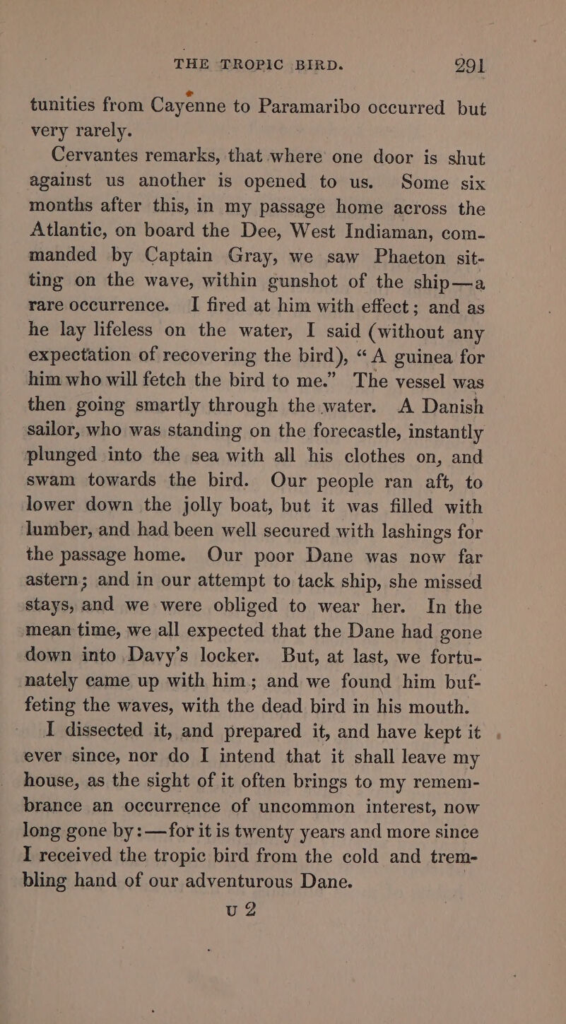 tunities from Cayenne to Paramaribo occurred but very rarely. Cervantes remarks, that where one door is shut against us another is opened to us. Some six months after this, in my passage home across the Atlantic, on board the Dee, West Indiaman, com- manded by Captain Gray, we saw Phaeton sit- ting on the wave, within gunshot of the ship—a rare occurrence. I fired at him with effect; and as he lay lifeless on the water, I said (without any expectation of recovering the bird), “ A guinea for him who will fetch the bird to me.” The vessel was then going smartly through the water. A Danish sailor, who was standing on the forecastle, instantly plunged into the sea with all his clothes on, and swam towards the bird. Our people ran aft, to lower down the jolly boat, but it was filled with lumber, and had been well secured with lashings for the passage home. Our poor Dane was now far astern; and in our attempt to tack ship, she missed stays, and we were obliged to wear her. In the mean time, we all expected that the Dane had gone down into Davy’s locker. But, at last, we fortu- nately came up with him; and we found him buf- feting the waves, with the dead bird in his mouth. I dissected it, and prepared it, and have kept it ever since, nor do I intend that it shall leave my house, as the sight of it often brings to my remem- brance an occurrence of uncommon interest, now long gone by: —for it is twenty years and more since I received the tropic bird from the cold and trem- bling hand of our adventurous Dane. , v2