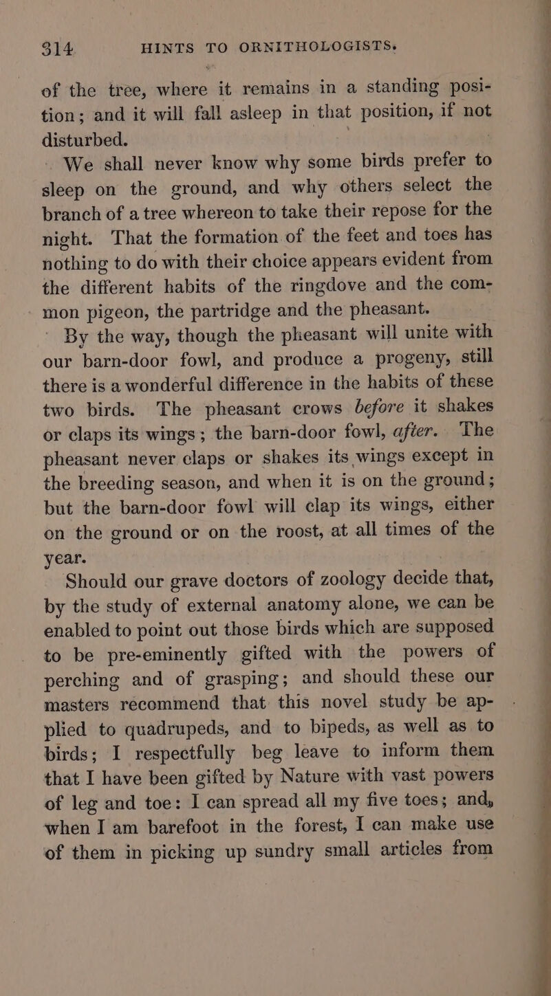 of the tree, where it remains in a standing posi- tion; and it will fall asleep in that position, if not disturbed. a BET We shall never know why some birds prefer to sleep on the ground, and why others select the branch of a tree whereon to take their repose for the night. That the formation of the feet and toes has nothing to do with their choice appears evident from the different habits of the ringdove and the com- mon pigeon, the partridge and the pheasant. By the way, though the pheasant will unite with our barn-door fowl, and produce a progeny, still there is a wonderful difference in the habits of these two birds. The pheasant crows before it shakes or claps its wings; the barn-door fowl, after. The pheasant never claps or shakes its wings except in the breeding season, and when it is on the ground; but the barn-door fowl will clap its wings, either on the ground or on the roost, at all times of the year. : Should our grave doctors of zoology decide that, by the study of external anatomy alone, we can be enabled to point out those birds which are supposed to be pre-eminently gifted with the powers of perching and of grasping; and should these our masters recommend that this novel study be ap- plied to quadrupeds, and to bipeds, as well as to birds; I respectfully beg leave to inform them that I have been gifted by Nature with vast powers of leg and toe: I can spread all my five toes; and, when I am barefoot in the forest, I can make use of them in picking up sundry small articles from