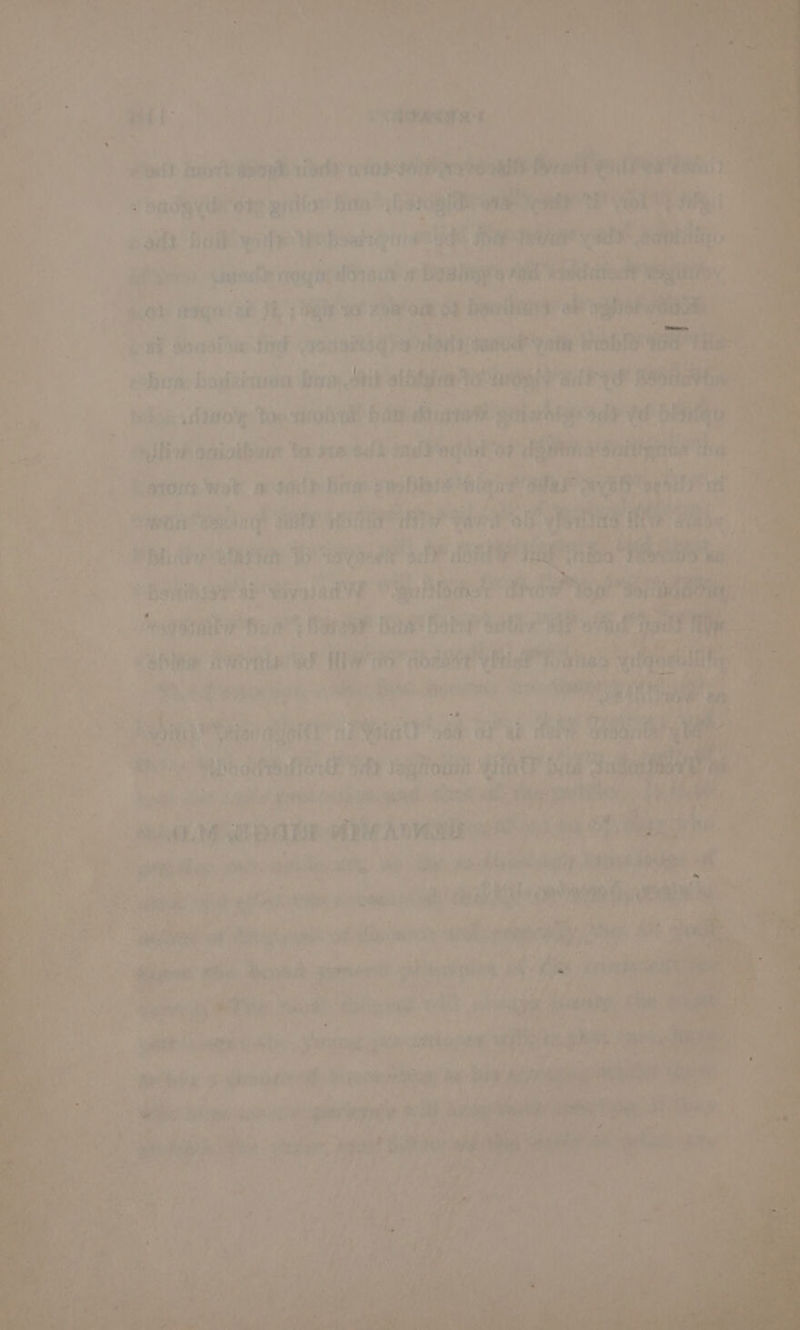 rey ane 59 bapertheen ao “a fhe BT ba dont rani vate vba sh Lys ti inh Stil ita fe yi ” J a ' seri? hea cabinisls Wat yy : ; ; b A Ne ; eet * p. 4) Aton Ca bes ’ : 5} saint ase a: o> ts baa ae inn ry i, eps oe >t} as hae