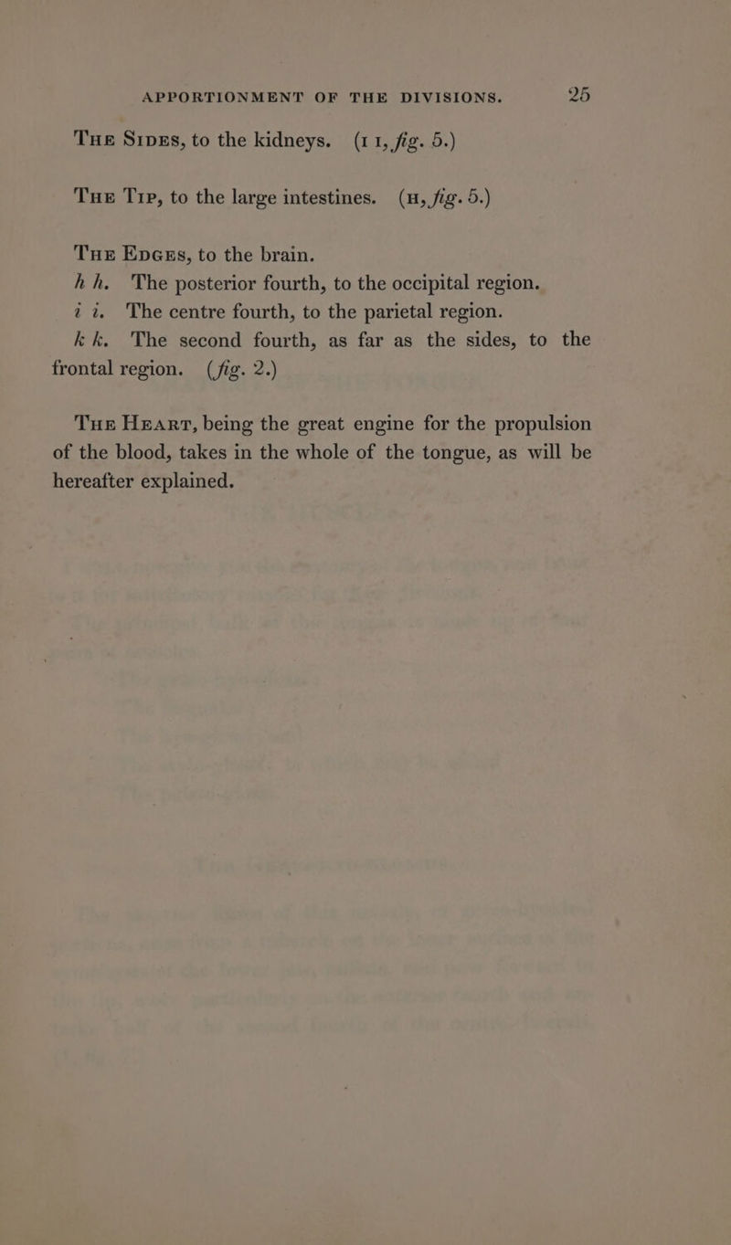 Tue Sips, to the kidneys. (11, fig. 5.) Tue Trp, to the large intestines. (H, fig. 5.) Tue Enpass, to the brain. hh. The posterior fourth, to the occipital region. 2%. The centre fourth, to the parietal region. kk. The second fourth, as far as the sides, to the frontal region. (jig. 2.) Tur Heart, being the great engine for the propulsion of the blood, takes in the whole of the tongue, as will be hereafter explained.