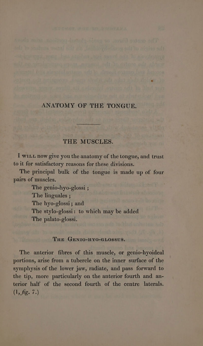 ANATOMY OF THE TONGUE. THE MUSCLES. I wi. now give you the anatomy of the tongue, and trust to it for satisfactory reasons for these divisions. The principal bulk of the tongue is made up of four pairs of muscles. The genio-hyo-glossi ; The linguales ; The hyo-glossi; and The stylo-glossi: to which may be added The palato-glossi. THE GENIO-HYO-GLOSSUS. The anterior fibres of this muscle, or genio-hyoideal portions, arise from a tubercle on the inner surface of the symphysis of the lower jaw, radiate, and pass forward to the tip, more particularly on the anterior fourth and an- terior half of the second fourth of the centre laterals.