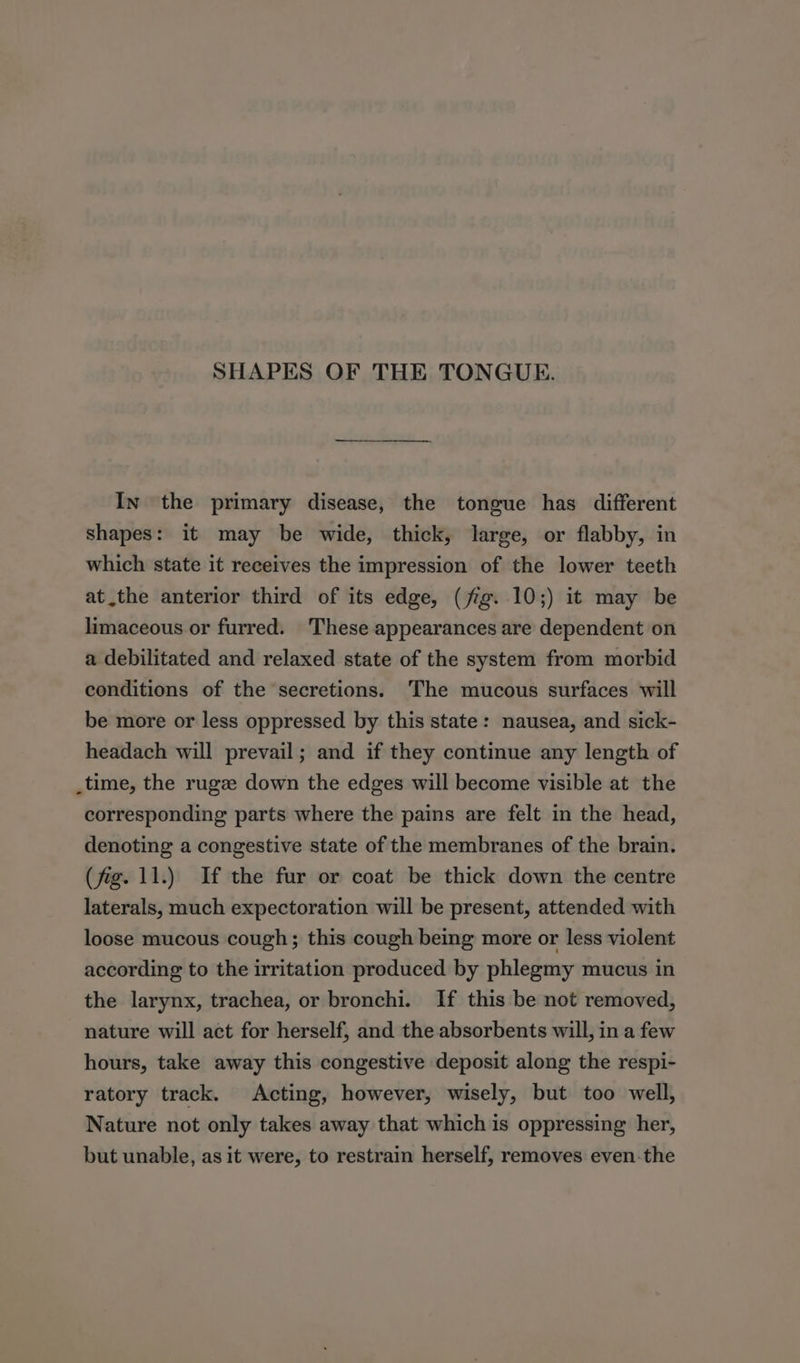 SHAPES OF THE TONGUE. In the primary disease, the tongue has different shapes: it may be wide, thick, large, or flabby, in which state it receives the impression of the lower teeth at the anterior third of its edge, (fig. 10;) it may be limaceous or furred. These appearances are dependent on a debilitated and relaxed state of the system from morbid conditions of the secretions. The mucous surfaces will be more or less oppressed by this state: nausea, and sick- headach will prevail; and if they continue any length of _time, the rugze down the edges will become visible at the corresponding parts where the pains are felt in the head, denoting a congestive state of the membranes of the brain. (fig. 11.) If the fur or coat be thick down the centre laterals, much expectoration will be present, attended with loose mucous cough; this cough being more or less violent according to the irritation produced by phlegmy mucus in the larynx, trachea, or bronchi. If this be not removed, nature will act for herself, and the absorbents will, in a few hours, take away this congestive deposit along the respi- ratory track. Acting, however, wisely, but too well, Nature not only takes away that which is oppressing her, but unable, as it were, to restrain herself, removes even-the