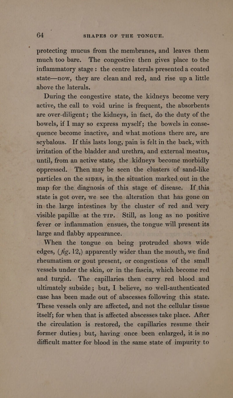 protecting mucus from the membranes, and leaves them much too bare. The congestive then gives place to the inflammatory stage: the centre laterals presented a coated state—now, they are clean and red, and rise up a little above the laterals. During the congestive state, the kidneys become very active, the call to void urine is frequent, the absorbents are over-diligent ; the kidneys, in fact, do the duty of the bowels, if 1 may so express myself; the bowels in conse- quence become inactive, and what motions there are, are scybalous. If this lasts long, pain is felt in the back, with irritation of the bladder and urethra, and external meatus, until, from an active state, the kidneys become morbidly oppressed. ‘Then may be seen the clusters of sand-like particles on the s1pzEs, in the situation marked out in the map for the. diagnosis of this stage of disease. If this state is got over, we see the alteration that has gone on in the large intestines by the cluster of red and very visible papilla at the trp. Still, as long as no positive fever or inflammation ensues, the tongue will present its large and flabby appearance. When the tongue on being protruded shows wide edges, (fig. 12,) apparently wider than the mouth, we find rheumatism or gout present, or congestions of the small vessels under the skin, or in the fascia, which become red and turgid. The capillaries then carry red blood and ultimately subside; but, I believe, no well-authenticated case has been made out of abscesses following this state. These vessels only are affected, and not the cellular tissue itself; for when that is affected abscesses take place. After the circulation is restored, the capillaries resume their former duties; but, having once been enlarged, it is no difficult matter for blood in the same state of impurity to