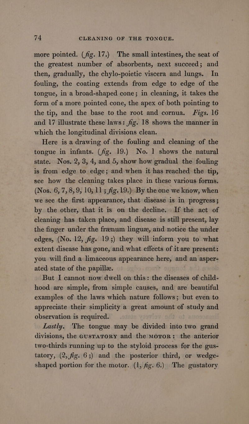 more pointed, (fig. 17.) The small intestines, the seat of the greatest number of absorbents, next succeed; and then, gradually, the chylo-poietic viscera and lungs. In fouling, the coating extends from edge to edge of the tongue, in a broad-shaped cone; in cleaning, it takes the form of a more pointed cone, the apex of both pointing to the tip, and the base to the root and cornua. Figs. 16 and 17 illustrate these laws: fig. 18 shows the manner in which the longitudinal divisions clean. Here is a drawing of the fouling and cleaning of the tongue in infants. (fig. 19.) No. 1 shows the natural state. Nos. 2, 3, 4, and 5, show how gradual the fouling is from edge to edge; and when it has reached the tip, see how the cleaning takes place in these various forms. (Nos. 6, 7,8, 9, 10,113 fig. 19.): By the one we know, when we see the first appearance, that disease is in progress; by the other, that it is on the decline. If the act of cleaning has taken place, and disease is still present, lay the finger under the freenum linguz, and notice the under edges, (No. 12, fig. 19;) they will inform you to what extent disease has gone, and what effects of it are present: you will find a limaceous appearance sii and an asper- ated state of the papille. But I cannot now dwell on this: the diseases of child- hood are simple, from simple causes, and are beautiful examples of the laws which nature follows; but even to appreciate their simplicity a great amount of study and observation is required. Lastly. 'The tongue may be divided into two grand divisions, the GusTaToRy and the Moror: the anterior two-thirds running up to the styloid process for the gus- tatory, (2, fig. 6;) and the posterior third, or wedge- shaped portion for the motor. (1, fg. 6.) The gustatory