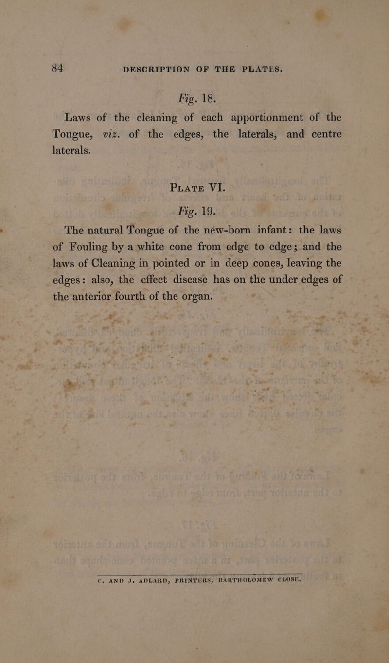 vg. 18. Laws of the cleaning of each apportionment of the Tongue, vz. of the edges, the laterals, and centre laterals. . Puate VI. Fig. 19. The natural Tongue of the new-born infant: the laws of Fouling by a white cone from edge to edge; and the laws of Cleaning in pointed or in deep cones, leaving the edges: also, the effect disease has on the under edges of » the anterior fourth of the organ. C, AND J. ADLARD, PRINTERS, BARTHOLOMEW CLOSE.
