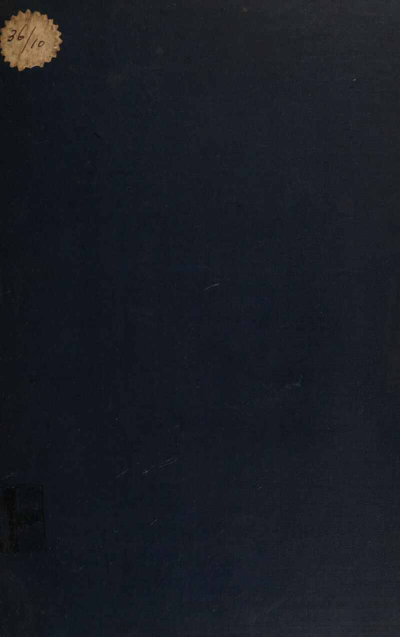 mS ; ; 2 : : S es pant : : 3 ; , e 3 2 E . . m2 : ; = 7 . ey : y : ‘ 7 ' . ; ‘ . i 5 i a ‘ : ; v y 5 5 7 2 “ x + = y - ; ; 5 : - : ee ’ = ] F ae Y z : 7 4 : - : : ' y é r i Z ( ip E “3 : , 5 z : . : ; 5 1- 7 é , io ; z ; r %