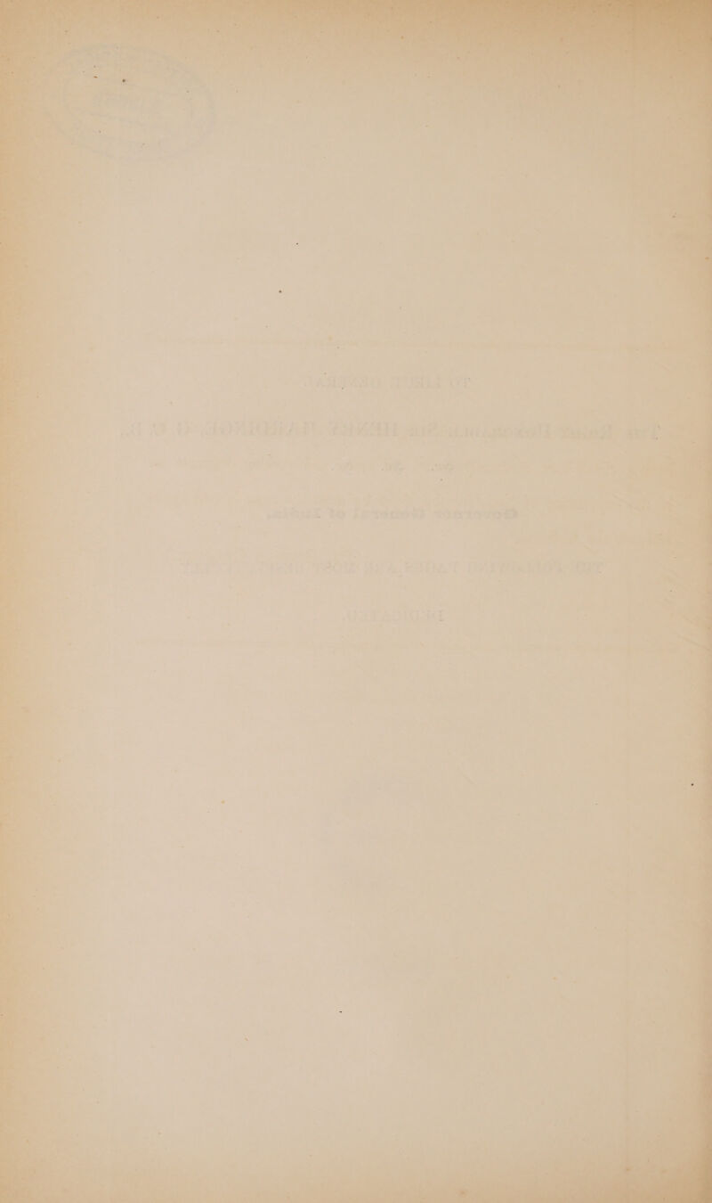 TAGEO OLE OE W100 GOwWSUO tia ae gogel Sanaa v4 ~ ¥ ‘ 2 ie oa : : x * : Me ! : YS ea i % ay ¢s vhs iy : rig a ) os 2 = a + et = r SWI if ty ATA i %