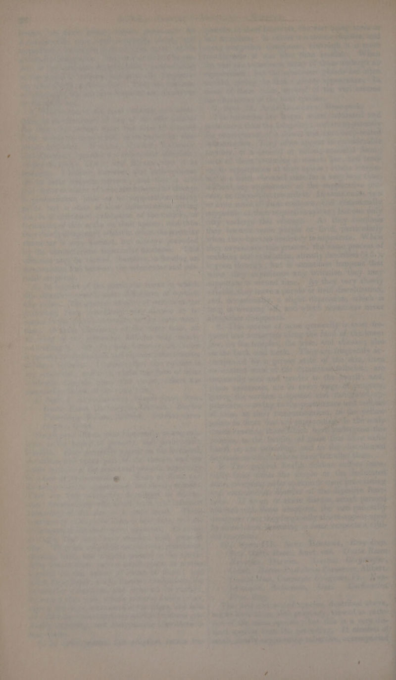 a2 &gt; aide iomarys ibe ft 4 ie we AL a - patliveie,, of Ae lined or ¢ ea aa ae ae al iret vara d 9. reat Ye € aie iy cat puneristtt ay Ue Bet oie oa una, elevation’ state 4 ore +teNt, uty ste qine”! see ob ay en ine ae denen ce ‘e ’ . ‘ ayy a é % ‘ 7 ' ‘ tie “ Paki wo ay rites ion twee “atl | rch te apres: si prindscany #4 pO AHO aliwaily ng te is: ato Sie’ . yas perio ca “ng: wretupion “tt Fy ome neu nat tits: : bere Vaitid, thang been yal joist stand thy chink, Soran, 6 Miglse- soe prom ah . : co weirs “oR poe wht . 4+ Beer or ch 2 ER, i ry iye yah uy Rie ar: sien wont bone esq nist wiry = andl ta Abe Ags rhe ph notts ait wsheaseranes, We ~ nah: eu $ “Pigs sre #34) par soit Heabri “| in ae rene Sa shies eT | Heit fds 2: FP Pi | ; aoe ee iy tas tiv “Sind 4 oe oe Bereta hosed stay coe | groungeanretnasecaahtie EES. o Tre: ? -abpagde dng cay) Tee Linseoenen ? f : oir ie va 1G J Pie . q Cees, Awan |