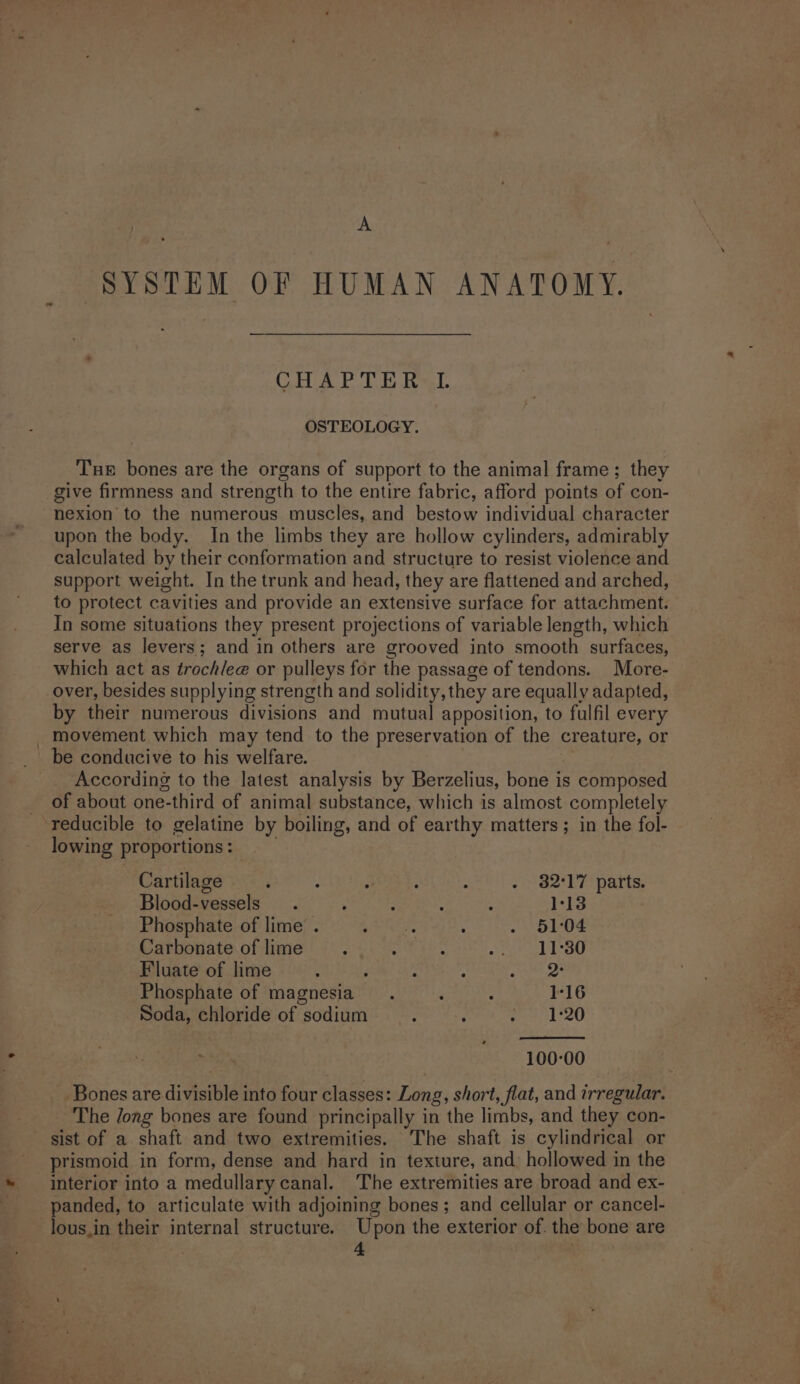 7° A SYSTEM OF HUMAN ANATOMY. CHAETE Ret OSTEOLOGY. Tue bones are the organs of support to the animal frame; they give firmness and strength to the entire fabric, afford points of con- nexion to the numerous muscles, and bestow individual character upon the body. In the limbs they are hollow cylinders, admirably calculated by their conformation and structure to resist violence and support weight. In the trunk and head, they are flattened and arched, to protect cavities and provide an extensive surface for attachment. In some situations they present projections of variable length, which serve as levers; and in others are grooved into smooth surfaces, which act as troch/ee or pulleys for the passage of tendons. More- over, besides supplying strength and solidity, they are equally adapted, by their numerous divisions and mutual apposition, to fulfil every movement which may tend to the preservation of the creature, or According to the latest analysis by Berzelius, bone is composed of about one-third of animal substance, which is almost completely reducible to gelatine by boiling, and of earthy matters; in the fol- lowing proportions: Cartilage ; ; : . 32°17 parts. Blood-vessels . : s : : 1-13 Phosphate of lime . Teas : . 51:04 Carbonate of lime . : . -, 11°30 Fluate of lime : : ; : Pes Soda, chloride of sodium : ’ ; 1°20 100-00 - ‘The long bones are found principally in the limbs, and they con- prismoid in form, dense and hard in texture, and: hollowed in the interior into a medullary canal. The extremities are broad and ex- panded, to articulate with adjoining bones; and cellular or cancel- lous.in their internal structure. Upon the exterior of. the bone are 4 ; ’