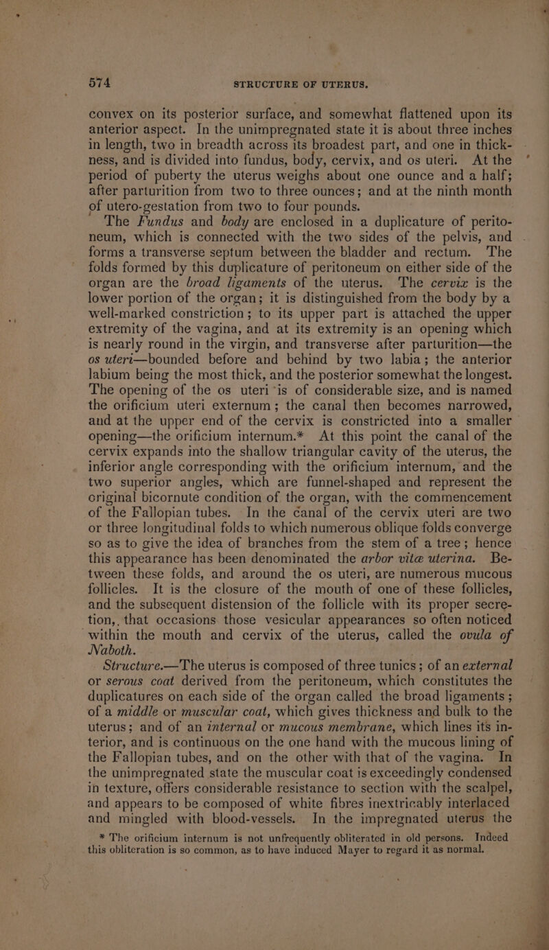 convex on its posterior surface, and somewhat flattened upon its anterior aspect. In the unimpregnated state it is about three inches in length, two in breadth across its broadest part, and one in thick- ness, and is divided into fundus, body, cervix, and os uteri. At the period of puberty the uterus weighs about one ounce and a half; after parturition from two to three ounces; and at the ninth month of utero-gestation from two to four pounds. The Fundus and body are enclosed in a duplicature of perito- neum, which is connected with the two sides of the pelvis, and forms a transverse septum between the bladder and rectum. The folds formed by this duplicature of peritoneum on either side of the organ are the broad ligaments of the uterus. The cervix is the lower portion of the organ; it is distinguished from the body by a well-marked constriction; to its upper part is attached the upper extremity of the vagina, and at its extremity is an opening which is nearly round in the virgin, and transverse after parturition—the os uteri—bounded before and behind by two labia; the anterior labium being the most thick, and the posterior somewhat the longest. The opening of the os uteri’is of considerable size, and is named the orificium uteri externum; the canal then becomes narrowed, and at the upper end of the cervix is constricted into a smaller opening—the orificium internum.* At this point the canal of the cervix expands into the shallow triangular cavity of the uterus, the inferior angle corresponding with the orificium internum, and the two superior angles, which are funnel-shaped and represent the criginal bicornute condition of the organ, with the commencement of the Fallopian tubes. In the canal of the cervix uteri are two or three longitudinal folds to which numerous oblique folds converge so as to give the idea of branches from the stem of a tree; hence this appearance has been denominated the arbor vite uterina. Be- tween these folds, and around the os uteri, are numerous mucous follicles. It is the closure of the mouth of one of these follicles, and the subsequent distension of the follicle with its proper secre- tion,, that occasions those vesicular appearances so often noticed within the mouth and cervix of the uterus, called the ovula of Naboth. _ Structure.—The uterus is composed of three tunics; of an external or serous coat derived from the peritoneum, which constitutes the duplicatures on each side of the organ called the broad ligaments ; of a middle or muscular coat, which gives thickness and bulk to the uterus; and of an internal or mucous membrane, which lines its in- terior, and is continuous on the one hand with the mucous lining of the Fallopian tubes, and on the other with that of the vagina. In the unimpregnated state the muscular coat is exceedingly condensed in texture, offers considerable resistance to section with the scalpel, and appears to be composed of white fibres inextricably interlaced and mingled with blood-vessels. In the impregnated uterus the * The orificium internum is not unfrequently obliterated in old persons. Indeed this obliteration is so common, as to have induced Mayer to regard it as normal.