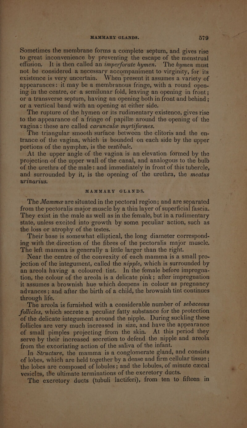 —-. . eaten we =F. MAMMARY GLANDS. 579 Sometimes the membrane forms a complete septum, and gives rise to great inconvenience by preventing the escape of the menstrual effusion, It is then called an imperforate hymen. The hymen must not be considered a necessary accompaniment to virginity, for its existence is very uncertain. When present it assumes a variety of appearances: it may be a membranous fringe, with a round open- ing in the centre, or a semilunar fold, leaving an opening in front; ora transverse septum, having an opening both in front and behind; or a vertical band with an opening at either side. The rupture of the hymen or its rudimentary existence, gives rise to the appearance of a fringe of papillse around the opening of the vagina: these are called caruncule myrtiformes. The triangular smooth surface between the clitoris and the en- trance of the vagina, which is bounded on each side by the upper portions of the nympha, is the vestibule. | At the upper angle of the vagina is an elevation formed by the projection of the upper wall of the canal, and analogous to the bulb of the urethra of the male: and immediately in front of this tubercle, and surrounded by it, is the opening of the urethra, the meatus urinartus. MAMMARY GLANDS. The Mamme are situated in the pectoral region; and are separated from the pectoralis major muscle by a thin layer of superficial fascia. They exist in the male as well as in the female, but in a rudimentary state, unless excited into growth by some. peculiar action, such as the loss or atrophy of the testes. Their base is somewhat elliptical, the long diameter correspond- ing with the direction of the fibres of the pectoralis major muscle. The left mamma is generally a little larger than the right. Near the centre of the convexity of each mamma is a small pro- jection of the integument, called the nipple, which is surrounded by an areola having a coloured tint. In the female before impregna- tion, the colour of the areola is a delicate pink; after impregnation it assumes a brownish hue which deepens in colour as pregnancy advances; aud after the birth of a child, the brownish tint continues through life. The areola is furnished with a considerable number of sebaceous follicles, which secrete a peculiar fatty substance for the protection of the delicate integument around the nipple. During suckling these follicles are very much increased in size, and have the appearance of small pimples projecting from the skin. At this period they serve by their increased secretion to defend the nipple and areola from the excoriating action of the saliva of the infant. In Structure, the mamma is a conglomerate gland, and consists of lobes, which are held together by a dense and firm cellular tissue ; the lobes are composed of lobules; and the lobules, of minute cecal vesicles, the ultimate terminations of the excretory ducts. The excretory ducts (tubuli lactiferi), from ten to fifteen in