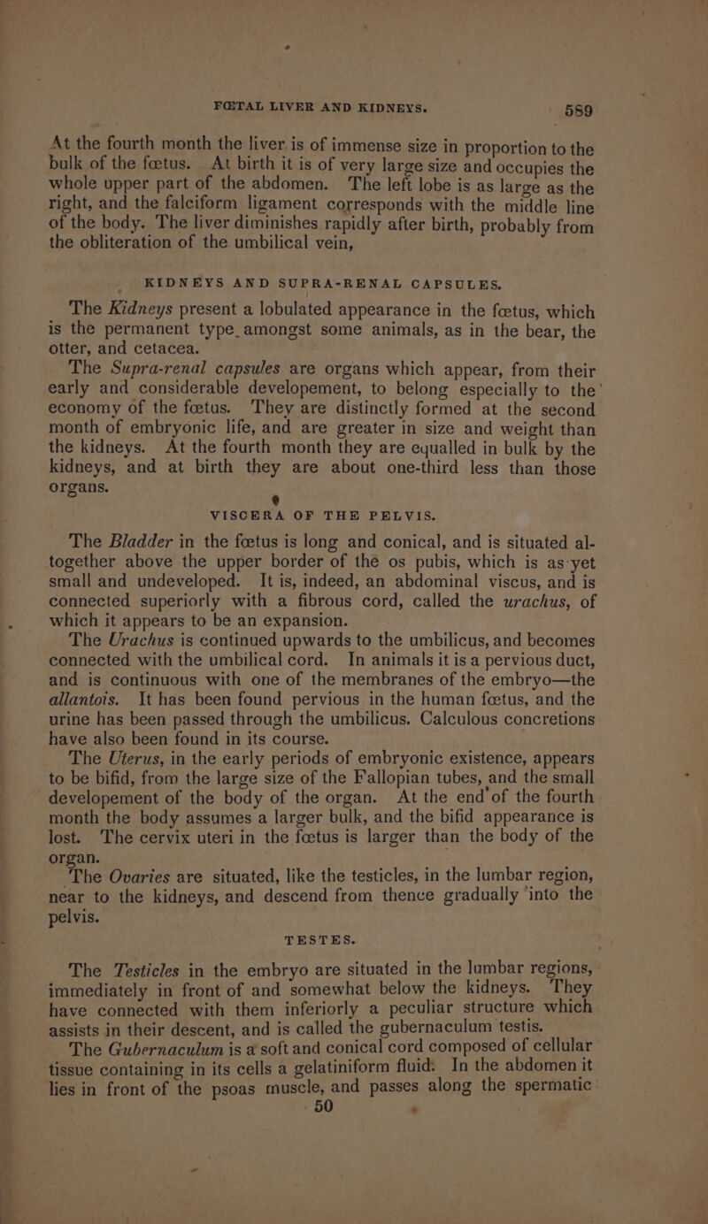 F@TAL LIVER AND KIDNEYS. ' §89 At the fourth month the liver is of immense size in proportion to the bulk of the foetus. At birth it is of very large size and occupies the whole upper part of the abdomen. The left lobe is as large as the right, and the falciform ligament corresponds with the middle line of the body. The liver diminishes rapidly after birth, probably from the obliteration of the umbilical vein, KIDNEYS AND SUPRA-RENAL CAPSULES. The Kidneys present a lobulated appearance in the foetus, which is the permanent type,amongst some animals, as in the bear, the otter, and cetacea. The Supra-renal capsules are organs which appear, from their early and considerable developement, to belong especially to the’ economy of the foetus. They are distinctly formed at the second month of embryonic life, and are greater in size and weight than the kidneys. At the fourth month they are equalled in bulk by the kidneys, and at birth they are about one-third less than those organs. @ VISCERA OF THE PELVIS. The Bladder in the foetus is long and conical, and is situated al- together above the upper border of the os pubis, which is as-yet small and undeveloped. It is, indeed, an abdominal viscus, and is connected superiorly with a fibrous cord, called the urachus, of which it appears to be an expansion. The Urachus is continued upwards to the umbilicus, and becomes connected with the umbilical cord. In animals it is a pervious duct, and is continuous with one of the membranes of the embryo—the allantois. It has been found pervious in the human feetus, and the urine has been passed through the umbilicus. Calculous concretions have also been found in its course. The Uterus, in the early periods of embryonic existence, appears to be bifid, from the large size of the Fallopian tubes, and the small developement of the body of the organ. At the end'of the fourth month the body assumes a larger bulk, and the bifid appearance is lost. The cervix uteri in the foetus is larger than the body of the organ. The Ovaries are situated, like the testicles, in the lumbar region, near to the kidneys, and descend from thence gradually ‘into the pelvis. TESTES. The Testicles in the embryo are situated in the lumbar regions, immediately in front of and somewhat below the kidneys. They have connected with them inferiorly a peculiar structure which assists in their descent, and is called the gubernaculum testis. The Gubernaculum is a soft and conical cord composed of cellular tissue containing in its cells a gelatiniform fluid: In the abdomen it lies in front of the psoas muscle, and passes along the spermatic’
