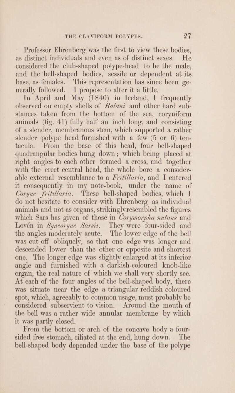 Professor Ehrenberg was the first to view these bodies, as distinct individuals and even as of distinct sexes. He considered the club-shaped polype-head to be the male, and the bell-shaped bodies, sessile or dependent at its base, as females. ‘This representation has since been ge- nerally followed. I propose to alter it a little. In April and May (1840) ın Iceland, I frequently observed on empty shells of Dalani and other hard sub- stances taken from the bottom of the sea, coryniform animals (fig. 41) fully half an inch long, and consisting of a slender, membranous stem, which supported a rather slender polype head furnished with a few (5 or 6) ten- tacula. From the base of this head, four bell-shaped quadrangular bodies hung down; which being placed at right angles to each other formed a cross, and together with the erect central head, the whole bore a consider- able external resemblance to a /rrtillaria, and I entered it consequently m my note-book, under the name of Coryne fritillaria. ‘These bell-shaped bodies, which I do not hesitate to consider with Ehrenberg as individual animals and not as organs, strikinglyresembled the figures which Sars has given of those in Corymorpha nutans and Loven in Syncoryne Sarsii. ‘They were four-sided and the angles moderately acute. ‘The lower edge of the bell was cut off obliquely, so that one edge was longer and descended lower than the other or opposite and shortest one. ‘The longer edge was slightly enlarged at its inferior angle and furnished with a darkish-coloured knob-like organ, the real nature of which we shall very shortly see. At each of the four angles of the bell-shaped body, there was situate near the edge a triangular reddish coloured spot, which, agreeably to common usage, must probably be considered subservient to vision. Around the mouth of the bell was a rather wide annular membrane by which it was partly closed. From the bottom or arch of the concave body a four- sided free stomach, ciliated at the end, hung down. The bell-shaped body depended under the base of the polype