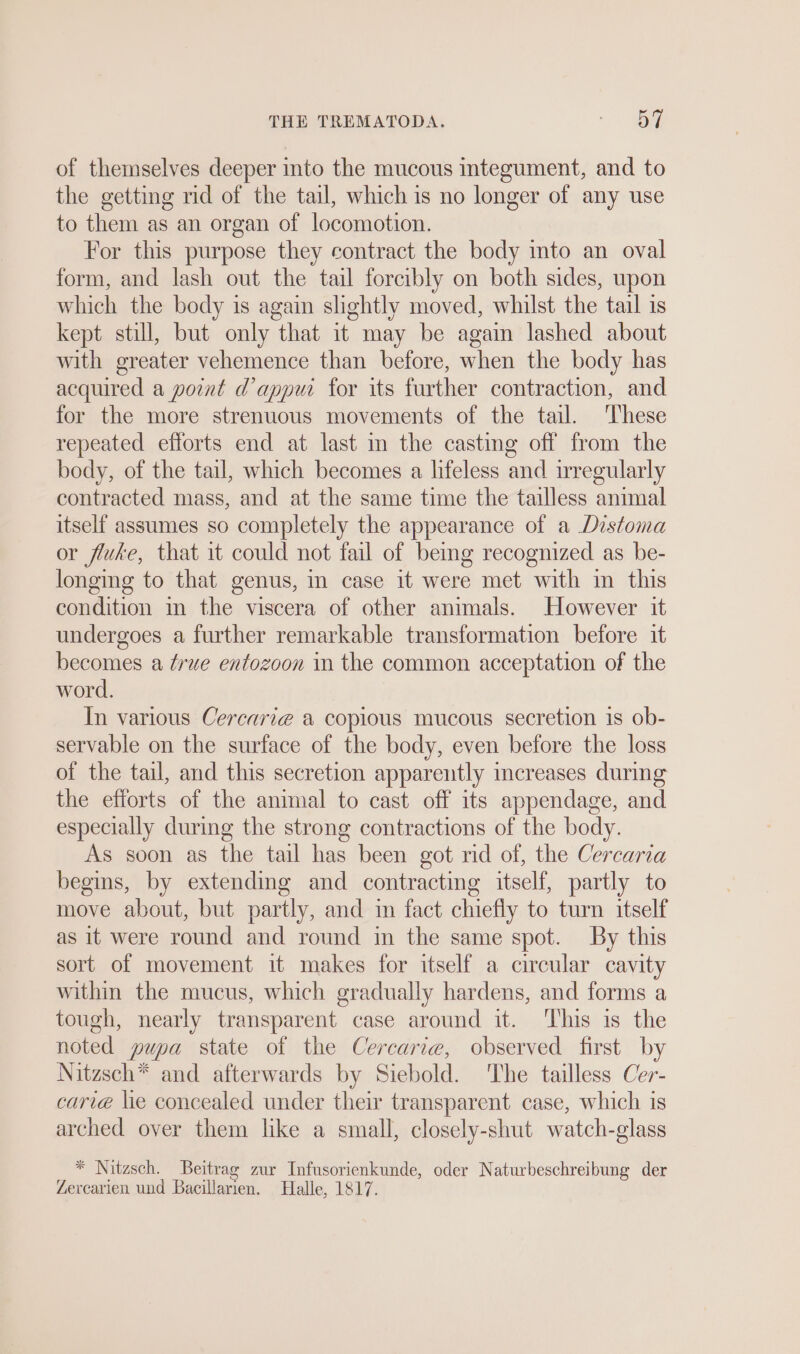 of themselves deeper into the mucous integument, and to the getting rid of the tail, which is no longer of any use to them as an organ of locomotion. For this purpose they contract the body into an oval form, and lash out the tail forcibly on both sides, upon which the body is again slightly moved, whilst the tail is kept still, but only that it may be again lashed about with greater vehemence than before, when the body has acquired a point d’appui for its further contraction, and for the more strenuous movements of the tail. ‘These repeated efforts end at last in the casting off from the body, of the tail, which becomes a lifeless and irregularly contracted mass, and at the same time the tailless animal itself assumes so completely the appearance of a Distoma or fluke, that it could not fail of being recognized as be- longing to that genus, in case it were met with in this condition in the viscera of other animals. However it undergoes a further remarkable transformation before it becomes a ¢rwe entozoon in the common acceptation of the word. In various Cercarıe a copious mucous secretion is ob- servable on the surface of the body, even before the loss of the tail, and this secretion apparently increases during the efforts of the animal to cast off its appendage, and especially during the strong contractions of the body. As soon as the tail has been got rid of, the Cercaria begins, by extending and contracting itself, partly to move about, but partly, and in fact chiefly to turn itself as it were round and round in the same spot. By this sort of movement it makes for itself a circular cavity within the mucus, which gradually hardens, and forms a tough, nearly transparent case around it. This is the noted pupa state of the Cercarıe, observed first by Nitzsch* and afterwards by Siebold. The tailless Cer- carié lie concealed under their transparent case, which is arched over them like a small, closely-shut watch-glass * Nitzsch. Beitrag zur Infusorienkunde, oder Naturbeschreibung der Zercarien und Bacillarien. Halle, 1817.