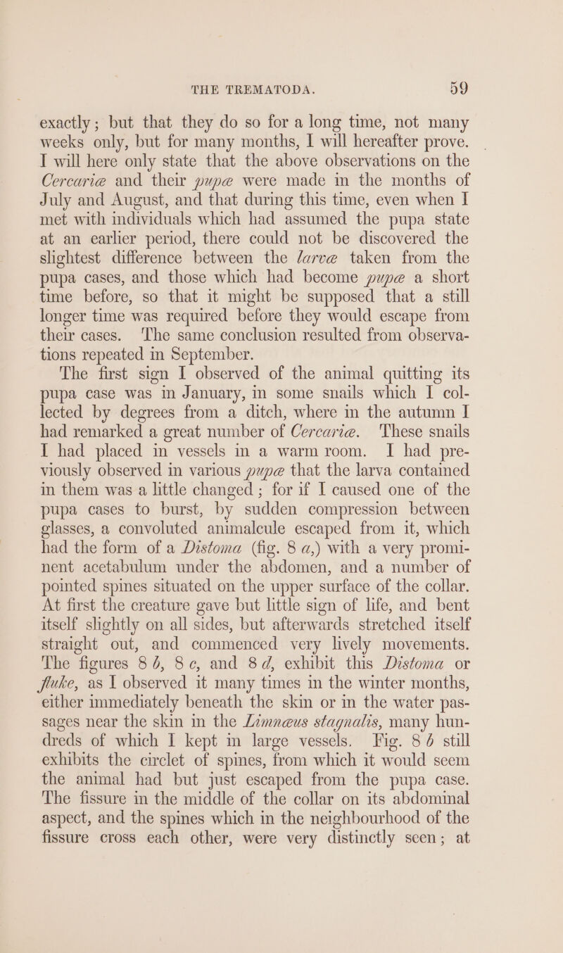 exactly; but that they do so for a long time, not many weeks only, but for many months, I will hereafter prove. _ I will here only state that the above observations on the Cercarie and their pupe were made in the months of July and August, and that during this time, even when I met with individuals which had assumed the pupa state at an earlier period, there could not be discovered the slightest difference between the /arve taken from the pupa cases, and those which had become pupe a short time before, so that it might be supposed that a still longer time was required before they would escape from their cases. ‘The same conclusion resulted from observa- tions repeated in September. The first sign I observed of the animal quitting its pupa case was in January, in some snails which I col- lected by degrees from a ditch, where in the autumn I had remarked a great number of Cercarie. These snails I had placed in vessels in a warm room. I had pre- viously observed in various pxpe that the larva contained in them was a little changed ; for if I caused one of the pupa cases to burst, by sudden compression between glasses, a convoluted animalcule escaped from it, which had the form of a Distoma (fig. 8 a,) with a very promi- nent acetabulum under the abdomen, and a number of pointed spines situated on the upper surface of the collar. At first the creature gave but little sign of life, and bent itself shehtly on all sides, but afterwards stretched itself straight out, and commenced very lively movements. The figures 8 6, Sc, and 8d, exhibit this Distoma or juke, as I observed it many times in the winter months, either immediately beneath the skin or in the water pas- sages near the skin in the Zimneus stagnalis, many hun- dreds of which I kept in large vessels. Fig. 85 still exhibits the circlet of spines, from which it would seem the animal had but just escaped from the pupa case. The fissure in the middle of the collar on its abdominal aspect, and the spines which in the neighbourhood of the fissure cross each other, were very distinctly seen; at