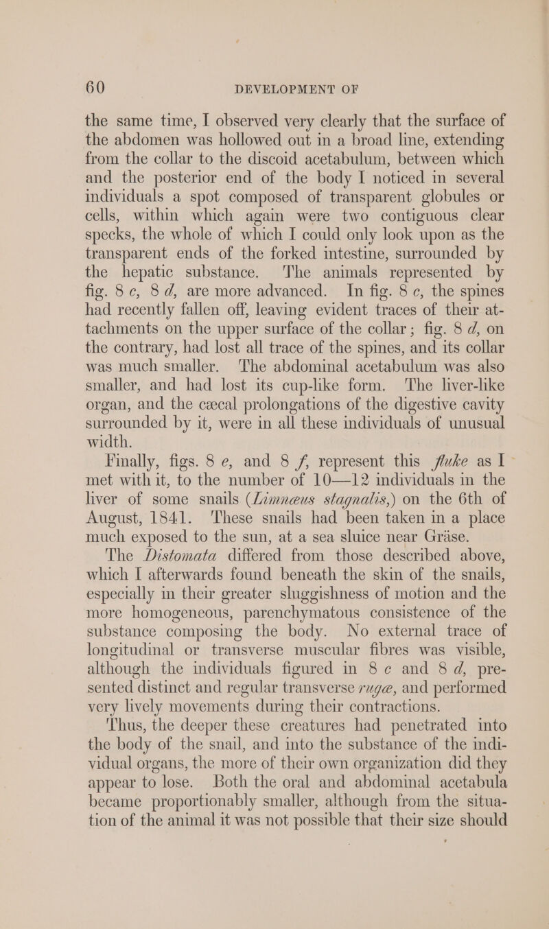 the same time, I observed very clearly that the surface of the abdomen was hollowed out in a broad line, extending from the collar to the discoid acetabulum, between which and the posterior end of the body I noticed in several individuals a spot composed of transparent globules or cells, within which again were two contiguous clear specks, the whole of which I could only look upon as the transparent ends of the forked intestine, surrounded by the hepatic substance. The animals represented by fig. 8c, 8d, are more advanced. In fig. 8c, the spines had recently fallen off, leaving evident traces of their at- tachments on the upper surface of the collar; fig. 8 d, on the contrary, had lost all trace of the spines, and its collar was much smaller. The abdominal acetabulum was also smaller, and had lost its cup-like form. The liver-like organ, and the cecal prolongations of the digestive cavity surrounded by it, were in all these individuals of unusual width. Finally, figs. 8 e, and 8 f represent this fluke as I~ met with it, to the number of 10—12 individuals in the liver of some snails (Zimneus stagnalis,) on the 6th of August, 1841. These snails had been taken in a place much exposed to the sun, at a sea sluice near Gräse. The Distomata differed from those described above, which I afterwards found beneath the skin of the snails, especially in their greater sluggishness of motion and the more homogeneous, parenchymatous consistence of the substance composing the body. No external trace of longitudinal or transverse muscular fibres was visible, although the individuals figured in 8 ¢ and 8 d, pre- sented distinct and regular transverse rug@, and performed very lively movements during their contractions. Thus, the deeper these creatures had penetrated into the body of the snail, and into the substance of the indi- vidual organs, the more of their own organization did they appear to lose. Both the oral and abdominal acetabula became proportionably smaller, although from the situa- tion of the animal it was not possible that their size should