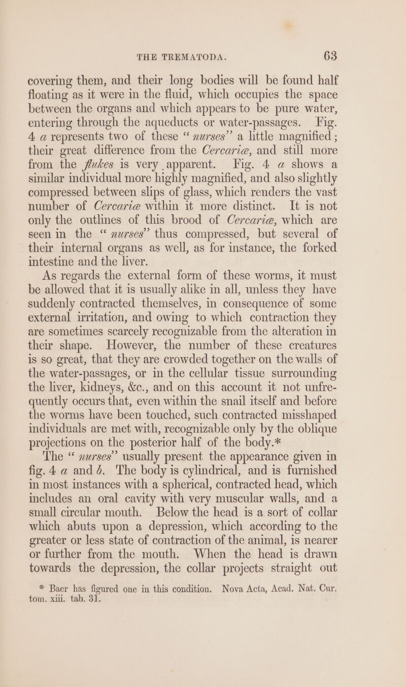 covering them, and their long bodies will be found half floating as it were in the fluid, which occupies the space between the organs and which appears to be pure water, entering through the aqueducts or water-passages. Fig. A a represents two of these “ nurses’” a little magnified ; their great difference from the Cercarıe, and still more from the flukes is very apparent. Fig. 4 @ shows a similar individual more highly magnified, and also slightly compressed between slips of glass, which renders the vast number of Cercari@ within it more distinct. It is not only the outlines of this brood of Cercarie, which are seen in the “ nurses’’ thus compressed, but several of their internal organs as well, as for instance, the forked intestine and the liver. As regards the external form of these worms, it must be allowed that it is usually alike in all, unless they have suddenly contracted themselves, in consequence of some external irritation, and owing to which contraction they are sometimes scarcely recognizable from the alteration in their shape. However, the number of these creatures is so great, that they are crowded together on the walls of the water-passages, or in the cellular tissue surrounding the liver, kidneys, &amp;., and on this account it not unfre- quently occurs that, even within the snail itself and before the worms have been touched, such contracted misshaped individuals are met with, recognizable only by the oblique projections on the posterior half of the body.* The “ nurses’’ usually present the appearance given in fig.4 a and 5. The body is cylindrical, and is furnished in most instances with a spherical, contracted head, which includes an oral cavity with very muscular walls, and a small circular mouth. Below the head is a sort of collar which abuts upon a depression, which according to the greater or less state of contraction of the animal, is nearer or further from the mouth. When the head is drawn towards the depression, the collar projects straight out * Baer has figured one in this condition. Nova Acta, Acad. Nat. Cur. tom. xii. tab. 31. ;