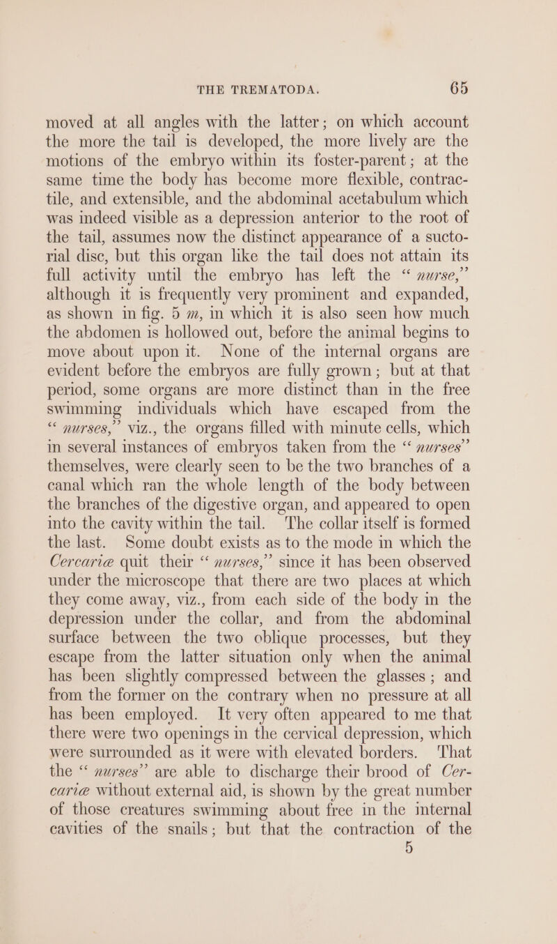 moved at all angles with the latter; on which account the more the tail is developed, the more lively are the motions of the embryo within its foster-parent; at the same time the body has become more flexible, contrac- tile, and extensible, and the abdominal acetabulum which was indeed visible as a depression anterior to the root of the tail, assumes now the distinct appearance of a sucto- rial disc, but this organ like the tail does not attain its full activity until the embryo has left the “ nurse,” although it is frequently very prominent and expanded, as shown im fig. 5 m, in which it is also seen how much the abdomen is hollowed out, before the animal begins to move about upon it. None of the internal organs are evident before the embryos are fully grown; but at that period, some organs are more distinct than in the free swimming individuals which have escaped from the “ nurses, viz., the organs filled with minute cells, which in several instances of embryos taken from the “ »urses” themselves, were clearly seen to be the two branches of a canal which ran the whole length of the body between the branches of the digestive organ, and appeared to open into the cavity within the tail. The collar itself 1s formed the last. Some doubt exists as to the mode in which the Cercarie quit their “ nurses,” since it has been observed under the microscope that there are two places at which they come away, viz., from each side of the body in the depression under the collar, and from the abdominal surface between the two oblique processes, but they escape from the latter situation only when the animal has been slightly compressed between the glasses ; and from the former on the contrary when no pressure at all has been employed. It very often appeared to me that there were two openings in the cervical depression, which were surrounded as it were with elevated borders. ‘That the “ nurses” are able to discharge their brood of Cer- carié without external aid, is shown by the great number of those creatures swimming about free in the internal cavities of the snails; but that the contraction of the 5