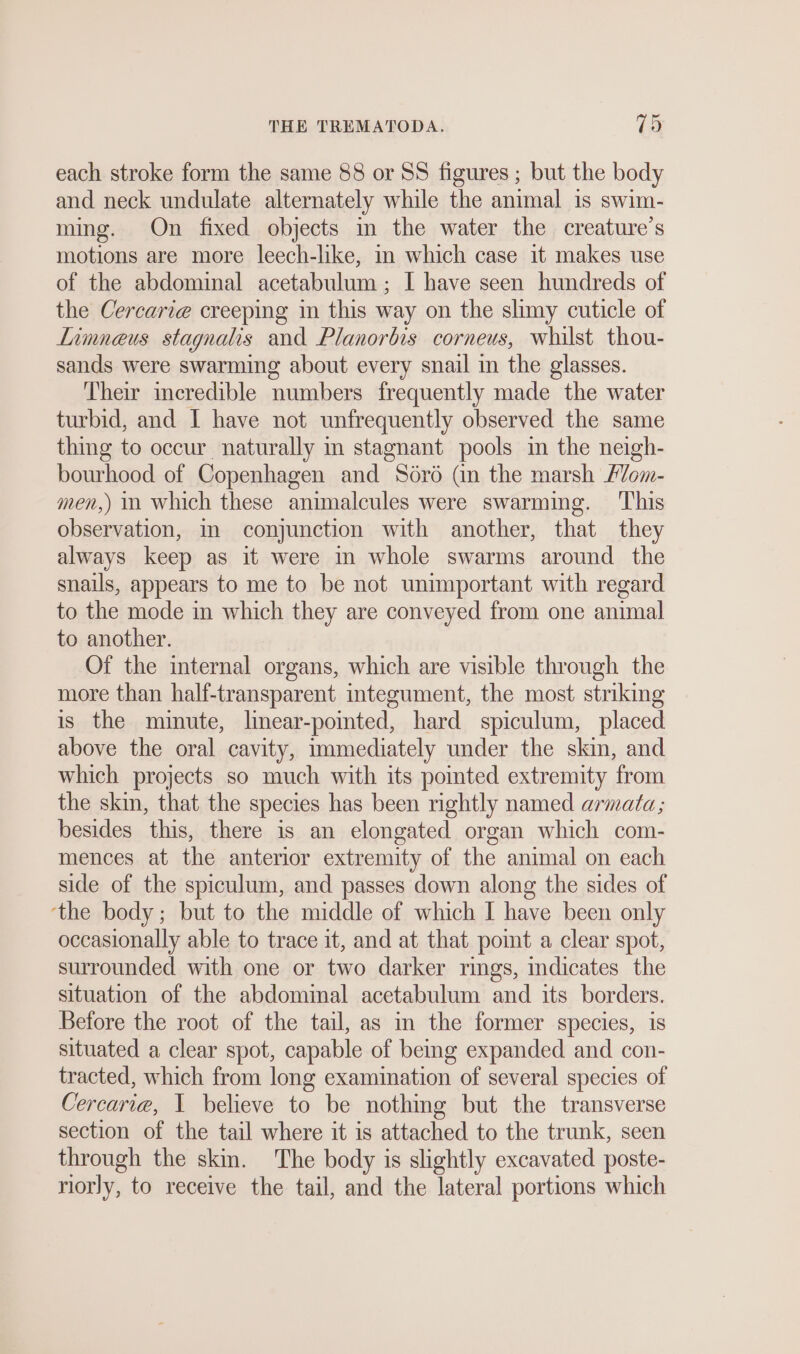 each stroke form the same 88 or SS figures ; but the body and neck undulate alternately while the animal is swim- ming. On fixed objects in the water the creature’s motions are more leech-like, in which case it makes use of the abdominal acetabulum ; I have seen hundreds of the Cercari@ creeping in this way on the slimy cuticle of Limneus stagnalis and Planorbis corneus, whilst thou- sands were swarming about every snail in the glasses. Their incredible numbers frequently made the water turbid, and I have not unfrequently observed the same thing to occur naturally in stagnant pools in the neigh- bourhood of Copenhagen and Sörö (in the marsh /om- men,) in which these animalcules were swarming. This observation, in conjunction with another, that they always keep as it were in whole swarms around the snails, appears to me to be not unimportant with regard to the mode in which they are conveyed from one anımal to another. Of the internal organs, which are visible through the more than half-transparent integument, the most striking is the minute, linear-pointed, hard spiculum, placed above the oral cavity, immediately under the skin, and which projects so much with its pointed extremity from the skin, that the species has been rightly named armata; besides this, there is an elongated organ which com- mences at the anterior extremity of the animal on each side of the spiculum, and passes down along the sides of ‘the body; but to the middle of which I have been only occasionally able to trace it, and at that point a clear spot, surrounded with one or two darker rings, indicates the situation of the abdominal acetabulum and its borders. Before the root of the tail, as in the former species, is situated a clear spot, capable of being expanded and con- tracted, which from long examination of several species of Cercarie, 1 believe to be nothing but the transverse section of the tail where it is attached to the trunk, seen through the skin. The body is slightly excavated poste- riorly, to receive the tail, and the lateral portions which