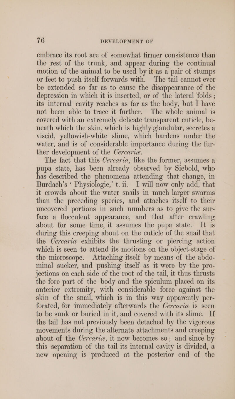 embrace its root are of somewhat firmer consistence than the rest of the trunk, and appear during the continual motion of the animal to be used by it as a pair of stumps or feet to push itself forwards with. The tail cannot ever be extended so far as to cause the disappearance of the depression in which it is inserted, or of the lateral folds ; its internal cavity reaches as far as the body, but I have not been able to trace it further. The whole animal is covered with an extremely delicate transparent cuticle, be- neath which the skin, which ıs highly glandular, secretes a viscid, yellowish-white slime, which hardens under the water, and is of considerable importance during the fur- ther development of the Cercaria. The fact that this Cercaria, like the former, assumes a pupa state, has been already observed by Siebold, who has described the phenomena attending that change, in Burdach’s ‘ Physiologie,’ t. 1. I will now only add, that it crowds about the water snails in much larger swarms than the preceding species, and attaches itself to their uncovered portions in such numbers as to give the sur- face a flocculent appearance, and that after crawling about for some time, it assumes the pupa state. It is during this creeping about on the cuticle of the snail that the Cercaria exhibits the thrusting or piercing action which is seen to attend its motions on the object-stage of the microscope. Attaching itself by means of the abdo- minal sucker, and pushing itself as it were by the pro- jections on each side of the root of the tail, it thus thrusts the fore part of the body and the spiculum placed on its anterior extremity, with considerable force agaist the skin of the snail, which is in this way apparently per- forated, for immediately afterwards the Cercaria is seen to be sunk or buried in it, and covered with its slime. If the tail has not previously been detached by the vigorous movements during the alternate attachments and creeping about of the Cercarie, it now becomes so; and since by this separation of the tail its internal cavity is divided, a new opening is produced at the posterior end of the
