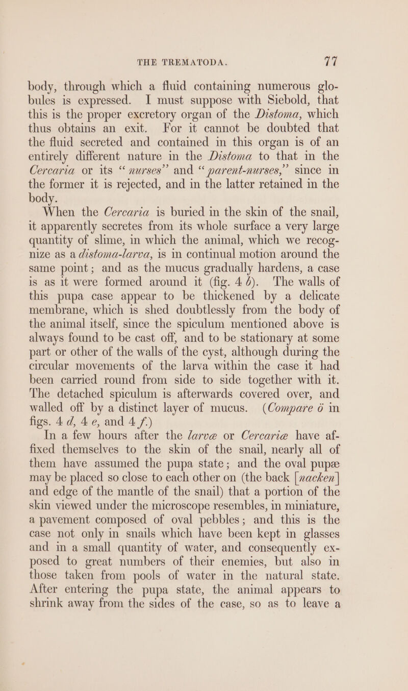 body, through which a fluid containing numerous glo- bules is expressed. I must suppose with Siebold, that this is the proper excretory organ of the Dzstoma, which thus obtains an exit. For it cannot be doubted that the fluid secreted and contained m this organ is of an entirely different nature in the Distoma to that in the Cercaria or its “ nurses” and “ parent-nurses,” since in the former it is rejected, and in the latter retained in the body. When the Cercaria is buried in the skin of the snail, it apparently secretes from its whole surface a very large quantity of slime, in which the animal, which we recog- nize as a distoma-larva, 18 in continual motion around the same point; and as the mucus gradually hardens, a case is as it were formed around it (fig. 44). The walls of this pupa case appear to be thickened by a delicate membrane, which is shed doubtlessly from the body of the animal itself, since the spiculum mentioned above is always found to be cast off, and to be stationary at some part or other of the walls of the cyst, although during the circular movements of the larva within the case it had been carried round from side to side together with it. The detached spiculum is afterwards covered over, and walled off by a distinct layer of mucus. (Compare 6 in figs. 4d, 4 e, and 4 f.) In a few hours after the /arve or Cercarie have af- fixed themselves to the skin of the snail, nearly all of them have assumed the pupa state; and the oval pupe may be placed so close to each other on (the back [xacken] and edge of the mantle of the snail) that a portion of the skin viewed under the microscope resembles, in miniature, a pavement composed of oval pebbles; and this is the case not only in snails which have been kept in glasses and in a small quantity of water, and consequently ex- posed to great numbers of their enemies, but also in those taken from pools of water mm the natural state. After entermg the pupa state, the animal appears to shrink away from the sides of the case, so as to leave a