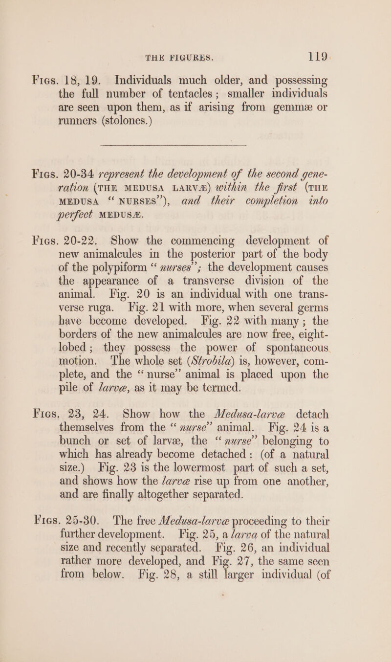 Figs. 18, 19. Individuals much older, and possessing the full number of tentacles ; smaller individuals are seen upon them, as if arising from gemme or runners (stolones.) Fies. 20-34 represent the development of the second gene- ration (THE MEDUSA LARV&amp;) within the first (THE MEDUSA “ NURSES’), and their completion into perfect MEDUSE. Fiss. 20-22. Show the commencing development of new animalcules in the posterior part of the body of the polypiform “‘ nurses’; the development causes the appearance of a transverse division of the animal. Fig. 20 is an individual with one trans- verse ruga. Fig. 21 with more, when several germs have become developed. Fig. 22 with many ; the borders of the new animalcules are now free, eight- lobed; they possess the power of spontaneous motion. The whole set (Strodza) is, however, com- plete, and the ‘nurse’ animal is placed upon the pile of /arve, as it may be termed. Fies, 23, 24. Show how the Medusa-larve detach themselves from the “ #urse’ animal. Fig. 24 is a bunch or set of larve, the “ zurse”” belonging to which has already become detached: (of a natural size.) Fig. 23 is the lowermost part of such a set, and shows how the /arve rise up from one another, and are finally altogether separated. Fries. 25-30. The free Wedusa-larve proceeding to their further development. Fig. 25, a /arva of the natural size and recently separated. Fig. 26, an individual rather more developed, and Fig. 27, the same seen from below. Fig. 28, a still larger individual (of