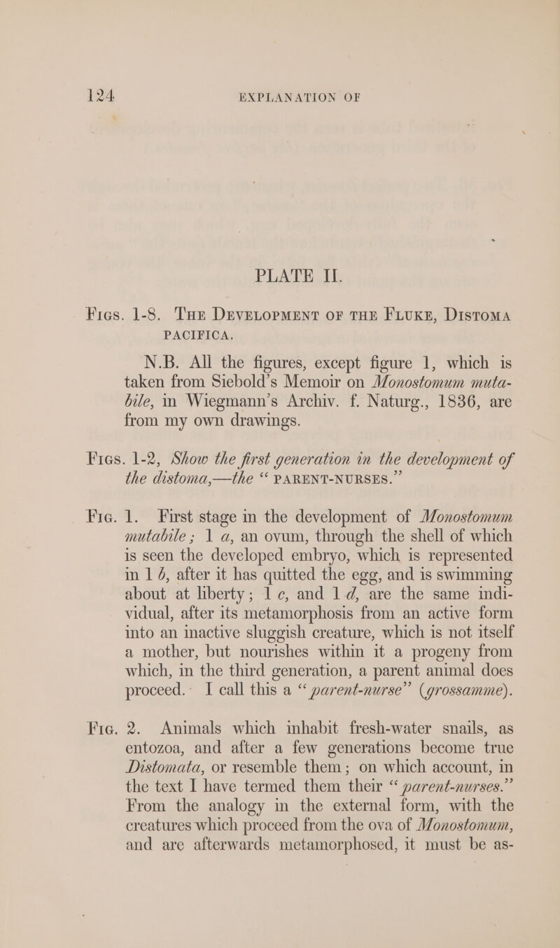 PLATE I. PACIFICA. N.B. All the figures, except figure 1, which is taken from Siebold’s Memoir on Monostomum muta- bile, m Wiegmann’s Archiv. f. Naturg., 1836, are from my own drawings. the distoma,—the ‘‘ PARENT-NURSES.” 1. First stage in the development of Monostomum mutable ; 1 a, an ovum, through the shell of which is seen the developed embryo, which is represented in 1 4, after it has quitted the egg, and is swimming about at liberty; lc, and 1d, are the same indi- vidual, after its metamorphosis from an active form into an inactive sluggish creature, which is not itself a mother, but nourishes within it a progeny from which, in the third generation, a parent animal does proceed. I call this a “ parent-nurse” (grossamme). 2. Animals which inhabit fresh-water snails, as entozoa, and after a few generations become true Distomata, or resemble them ; on which account, in the text I have termed them their “ parent-nurses.”’ From the analogy in the external form, with the creatures which proceed from the ova of Monostomum, and are afterwards metamorphosed, it must be as-