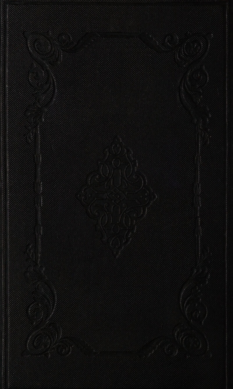ee SE IT OE Te MR ae BC Pe oe RO RC Se ee ee a On et RO Ie Neieaiseialets anne, cy ee ee e crre G we eee ee ee ey ee nr e ; vi atl » ; rae etg't es ’ Ger TA tale eer ‘ te et eyes es ey + Eee ae es rye ; : : ! ‘ ‘ . Tel ; pirletecs whe : yk Say r\ i a ee Pe eh on Oe Oe le 9 vy eeritay oe rm Ta > Dre Caen very EI > << eee Me ss : : eto Ree ie Fe lye Tres Nets ev et id F ‘ Ni ye . 4 ry ¥ : , oad ' : Vee ss. + AA Seite ovr , > VVeUVVEVE aes Par Pater . v NS