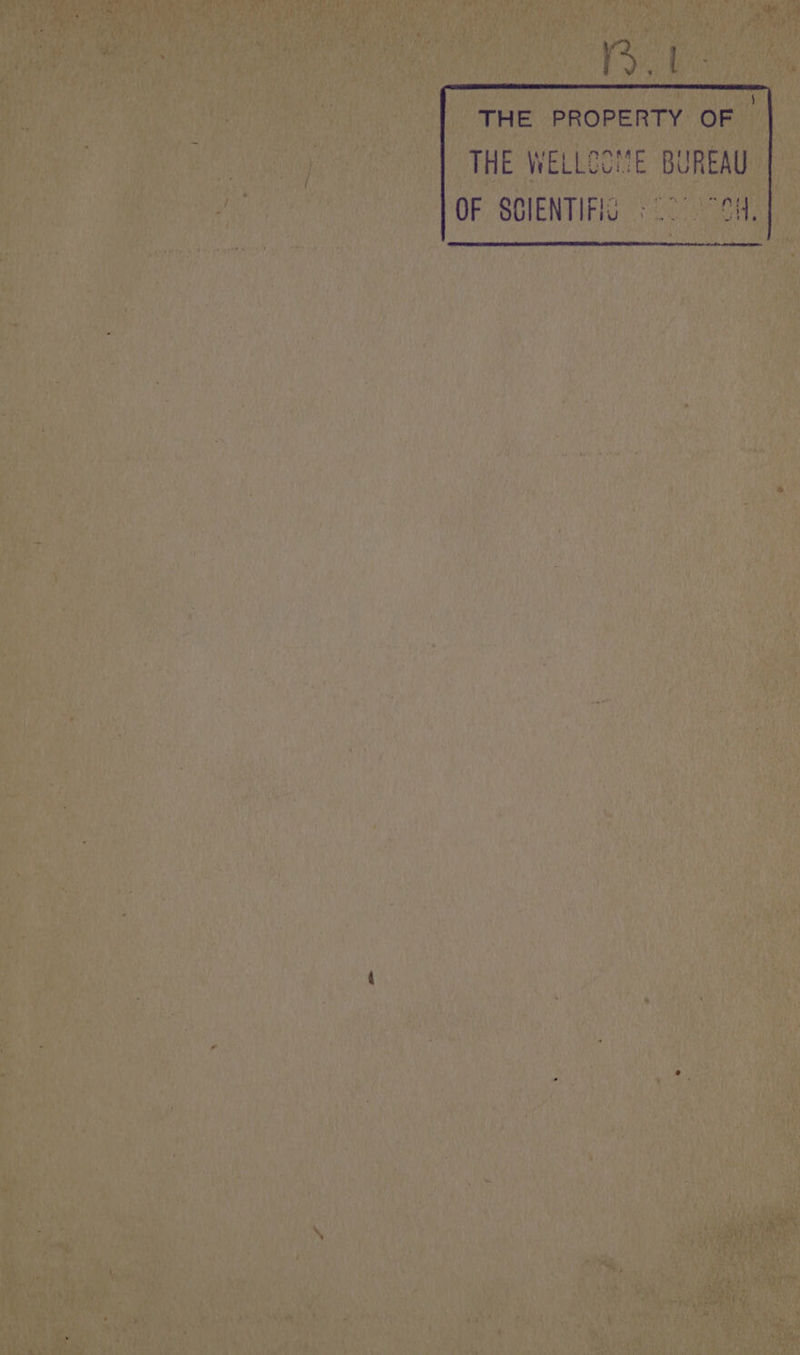 THE WELLOO!E BUREAU OF SCIENTIFIS 24.