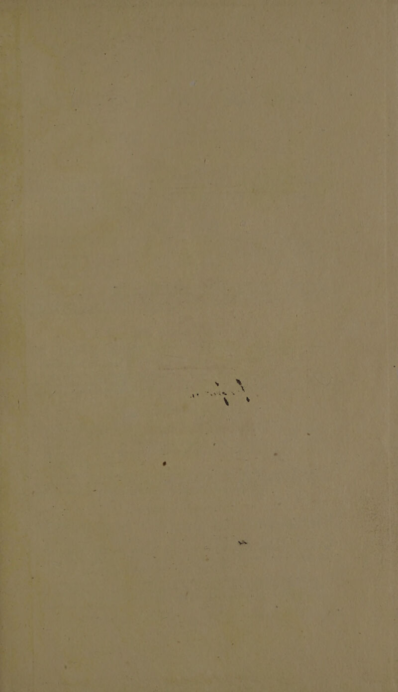 Ae Ye 1H 75 j . . ' a tie gl ae ¢ ie a ir. A, 4 ays | a Ls hk ate ar 0 6 4*, h u + ¥ ‘ -. .
