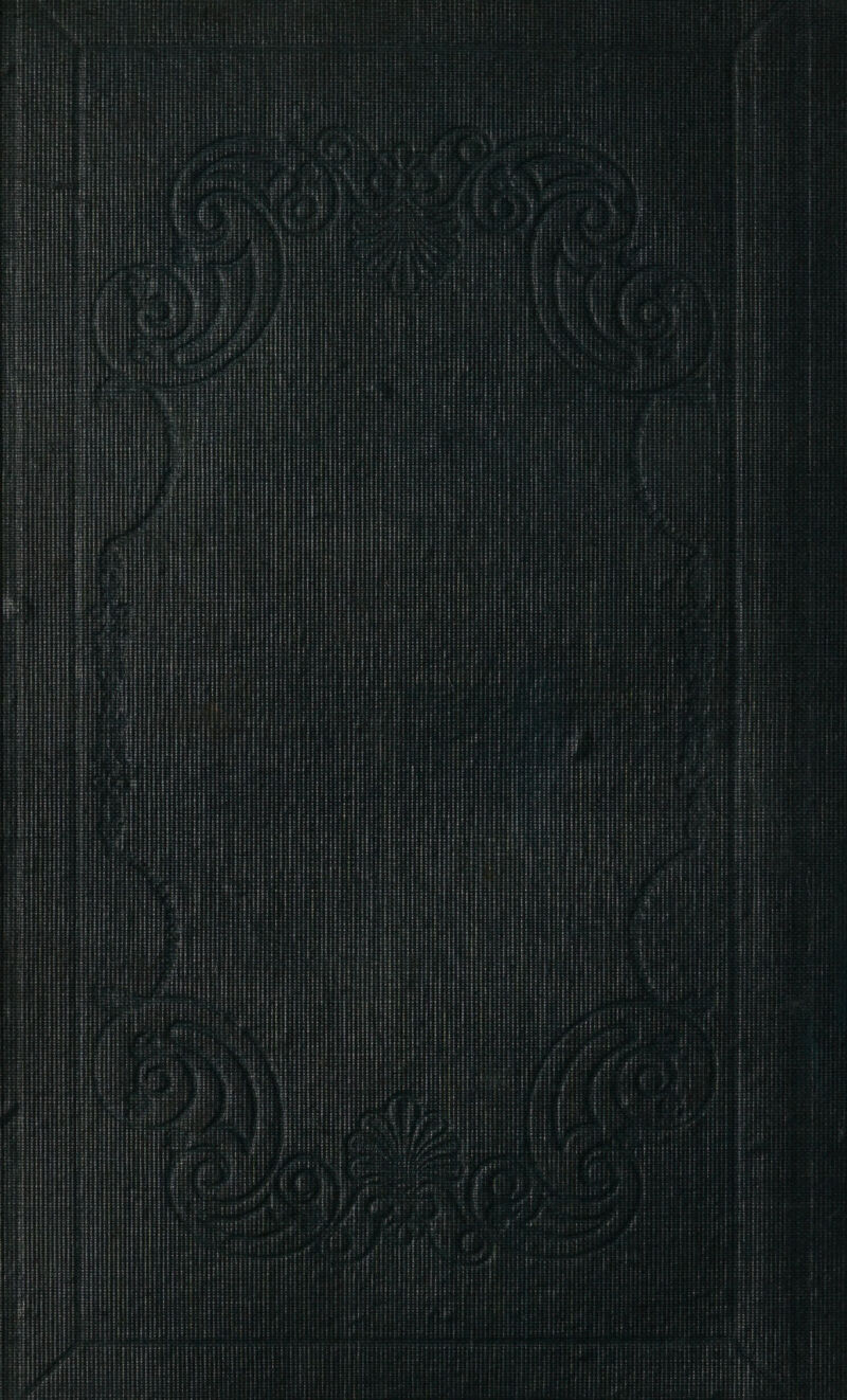 Loegeeimeepene ne ametaes weston pirepeterserpsrenisertnr rs: fet) “aseeeereseeaieu oh cst)arepesaiaveprsiceeyeeesticeeerewerene natiteasauasts tvesa eaeetensnen tfrregesetacsccteneenieeyrcereene sn