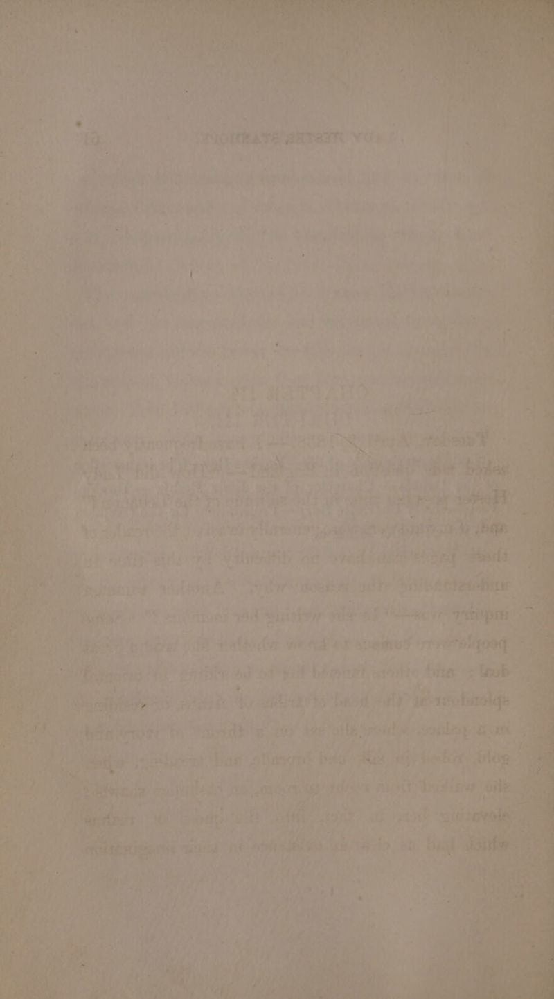 Ding Ay my es) hab ! ree aes ne + eps 3 f es r eae &gt; coat hee wale etait’ cieaeaan eee ae vies “pt era nian ‘open eee jo Porc wtih Serb dott! nts’ iti ; ye i be} ier er Tak Sister silig of SR trp yp yi e einfts (vr wienges tages tre vr olgoen* es a ine pattie 0 of Pa baeonelt wionlt 0 i Oh hi eAgiRe ‘py aie ei iy? peer ts ‘nasi $¢e ‘3, roa sereabeoy &amp;. sh ; nests os ae pees weer