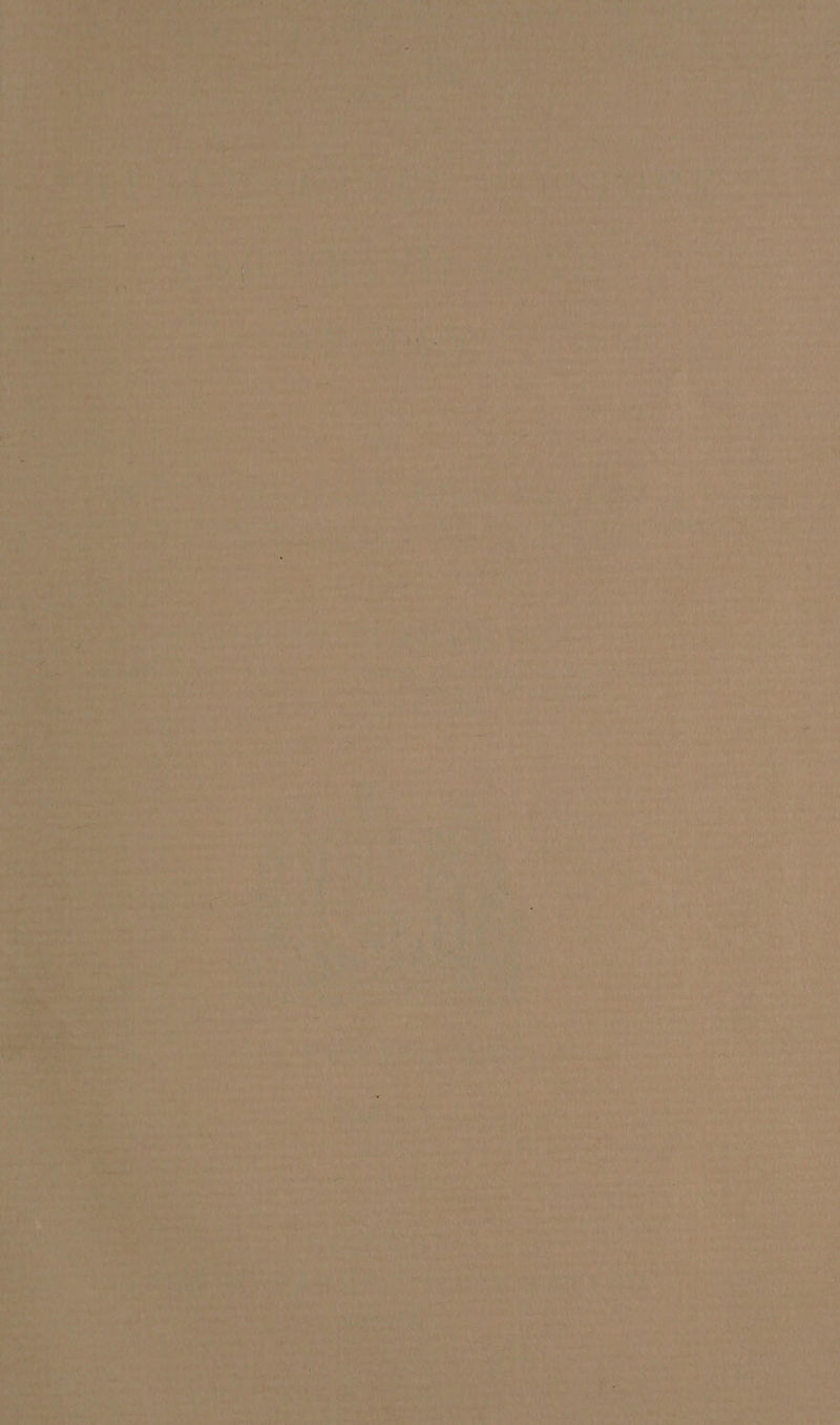 aa) 7 La bey a Rik cea rast Byers : es 7 eed . 4k Peta! RR *