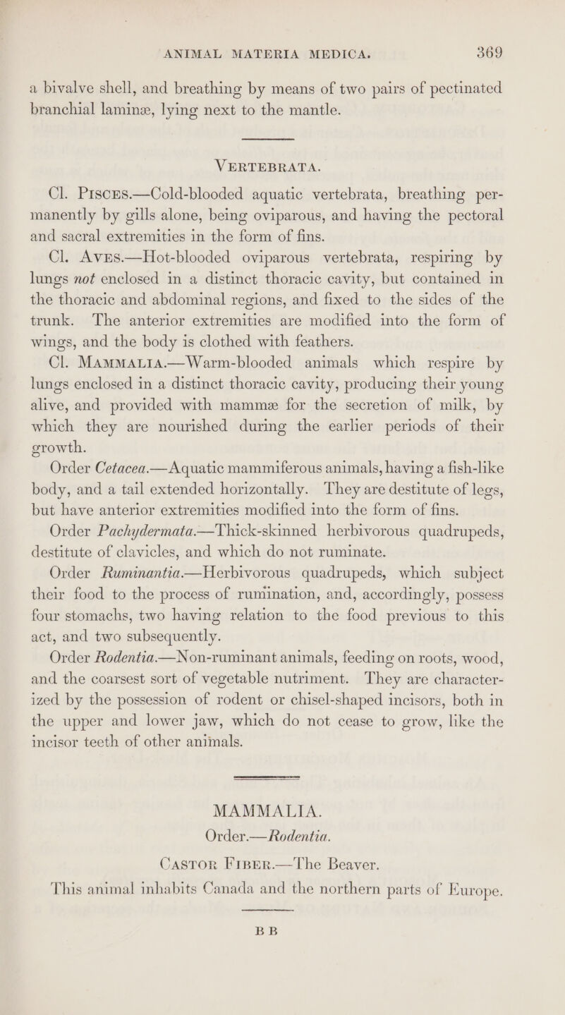 a bivalve shell, and breathing by means of two pairs of pectinated branchial laminz, lying next to the mantle. VERTEBRATA. Cl. Prsces.—Cold-blooded aquatic vertebrata, breathing per- manently by gills alone, being oviparous, and having the pectoral and sacral extremities in the form of fins. Cl. Aves.—Hot-blooded oviparous vertebrata, respiring by lungs not enclosed in a distinct thoracic cavity, but contained in the thoracic and abdominal regions, and fixed to the sides of the trunk. The anterior extremities are modified into the form of wings, and the body is clothed with feathers. Cl. MammMALia.—Warm-blooded animals which respire by lungs enclosed in a distinct thoracic cavity, producing their young alive, and provided with mamme for the secretion of milk, by which they are nourished during the earlier periods of their orowth. Order Cetacea— Aquatic mammiferous animals, having a fish-like body, and a tail extended horizontally. They are destitute of legs, but have anterior extremities modified into the form of fins. Order Pachydermata—Thick-skinned herbivorous quadrupeds, destitute of clavicles, and which do not ruminate. Order Ruminantia—Herbivorous quadrupeds, which subject their food to the process of rumination, and, accordingly, possess four stomachs, two having relation to the food previous to this act, and two subsequently. Order Rodentia —Non-ruminant animals, feeding on roots, wood, and the coarsest sort of vegetable nutriment. They are character- ized by the possession of rodent or chisel-shaped incisors, both in the upper and lower jaw, which do not cease to grow, like the incisor teeth of other animals. MAMMALIA. Order.— Rodentia. CasTor FiBper.—The Beaver. This animal inhabits Canada and the northern parts of Europe. BB
