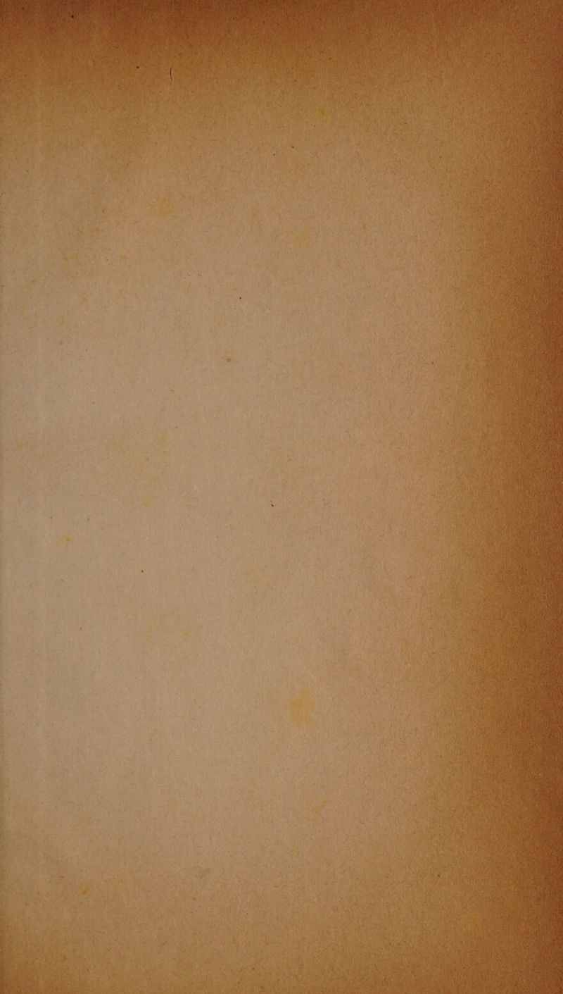 na ato tn Re » ‘ : Di ri acen € ite 2 ao