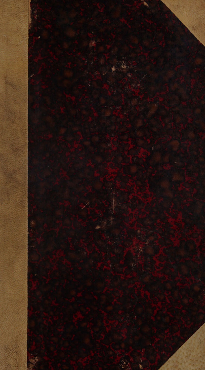 No text description is available for this image