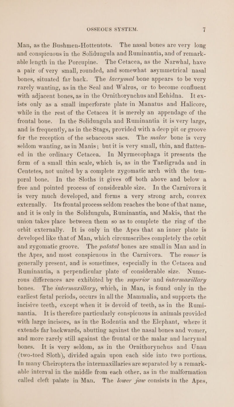 Man, as the Bushmen-Hottentots. The nasal bones are very long and conspicuous in the Solidungula and Ruminantia, and of remark- able length in the Porcupine. The Cetacea, as the Narwhal, have a pair of very small, rounded, and somewhat asymmetrical nasal bones, situated far back. The /acrymal bone appears to be very rarely wanting, asin the Seal and Walrus, or to become confluent with adjacent bones, as in the Ornithorynchus and Echidna. It ex- ists only as a small imperforate plate in Manatus and Halicore, while in the rest of the Cetacea it is merely an appendage of the frontal bone. In the Solidungula and Ruminantia it is very large, and is frequently, as in the Stags, provided with a deep pit or groove for the reception of the sebaceous sacs. The malar bone is very seldom wanting, asin Manis; butit is very small, thin, and flatten- ed in the ordinary Cetacea. In Myrmecophaga it presents the form of a small thin scale, which is, as in the Tardigrada and in Centetes, not united by a complete zygomatic arch with the tem- poral bone. In the Sloths it gives off both above and below a free and pointed process of considerable size. In the Carnivora it is very much developed, and forms a very strong arch, convex externally. Its frontal process seldom reaches the bone of that name, and it is only in the Solidungula, Ruminantia, and Makis, that the union takes place between them so as to complete the ring of the orbit externally. It is only in the Apes that an inner plate is developed like that of Man, which circumscribes completely the orbit and zygomatic groove. The palatal bones are smallin Man and in the Apes, and most conspicuous in the Carnivora. The vomer is generally present, and is sometimes, especially in the Cetacea and Ruminantia, a perpendicular plate of considerable size. Nume- rous differences are exhibited by the superior and intermaxillary bones. The entermaxillary, which, in Man, is found only in the earliest foetal periods, occurs in allthe Mammalia, and supports the incisive teeth, except when it is devoid of teeth, as in the Rumi- nantia. It is therefore particularly conspicuous in animals provided with large incisors, as in the Rodentia and the Elephant, where it extends far backwards, abutting against the nasal bones and vomer, and more rarely still against the frontal or the malar and lacrymal bones. It is very seldom, as in the Ornithorynchus and Unau (two-toed Sloth), divided again upon each side into two portions. In many Cheiroptera the intermaxillaries are separated by a remark- able interval in the middle from each other, as in the malformation called cleft palate in Man. The dower jaw consists in the Apes,